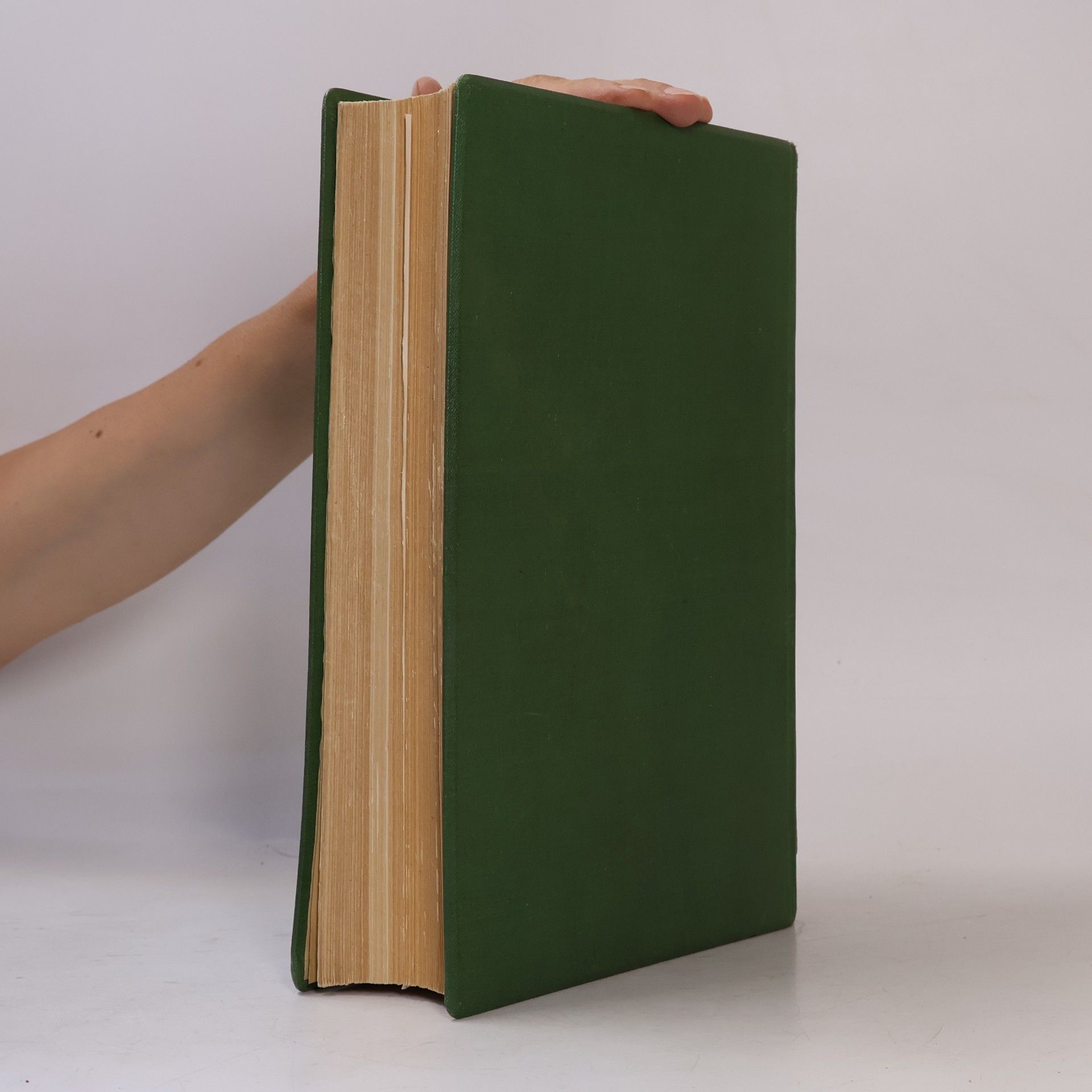 František Antonín Novák Rostlinopis. Svazek VIII. Systematická botanika. Díl první