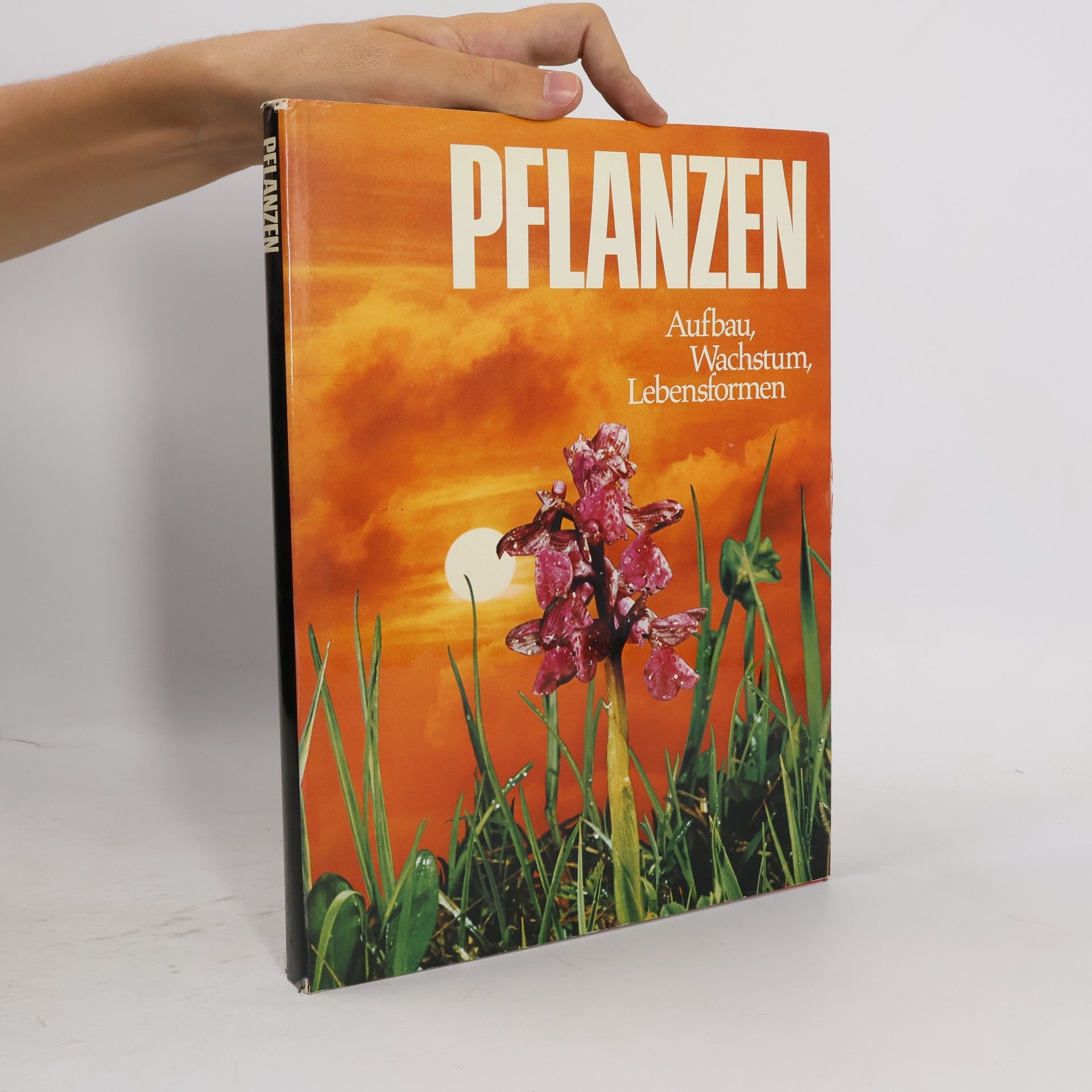Autorenkollektiv Pflanzen. Aufbau, Wachstum, Lebensformen