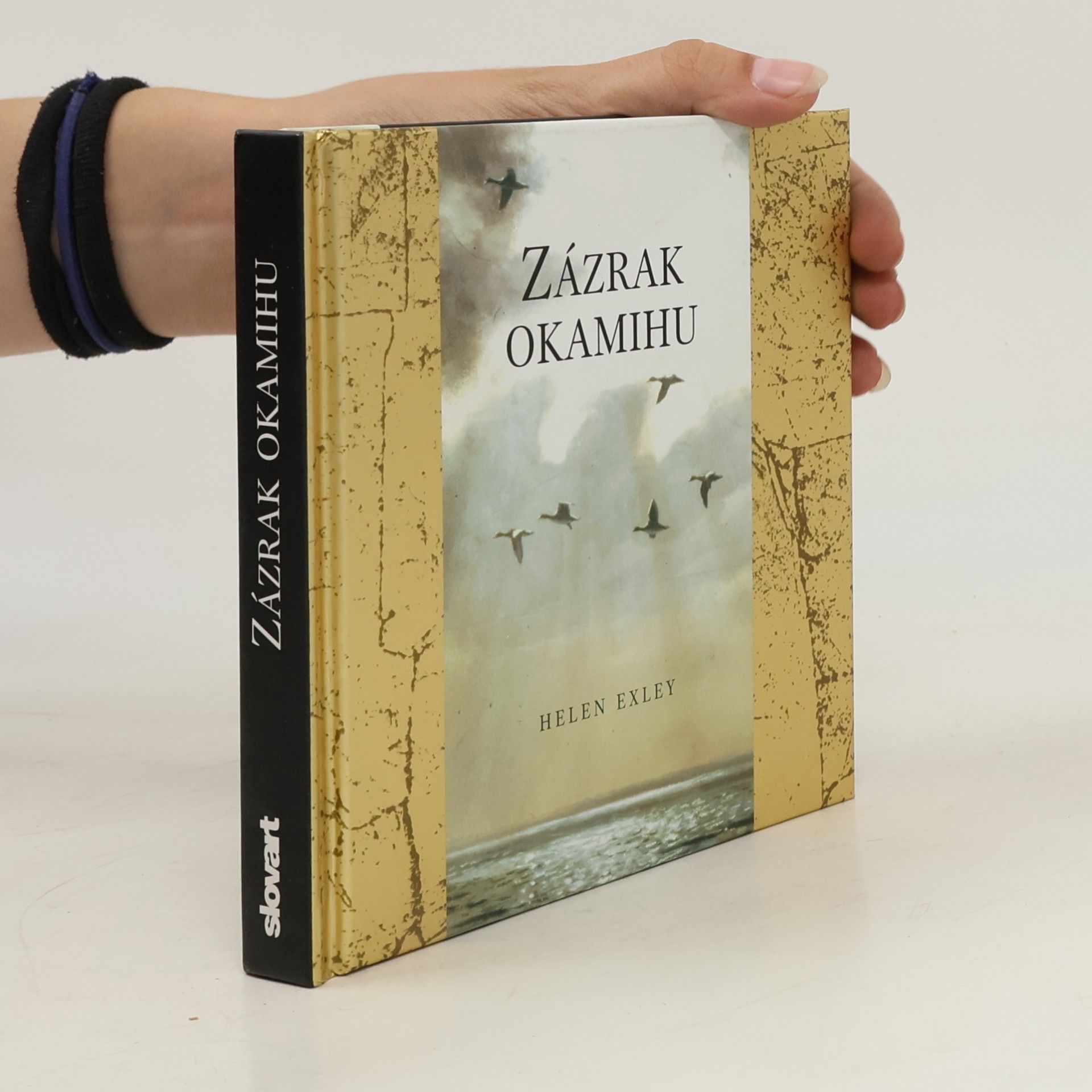 Helen Exley Zázrak okamihu
