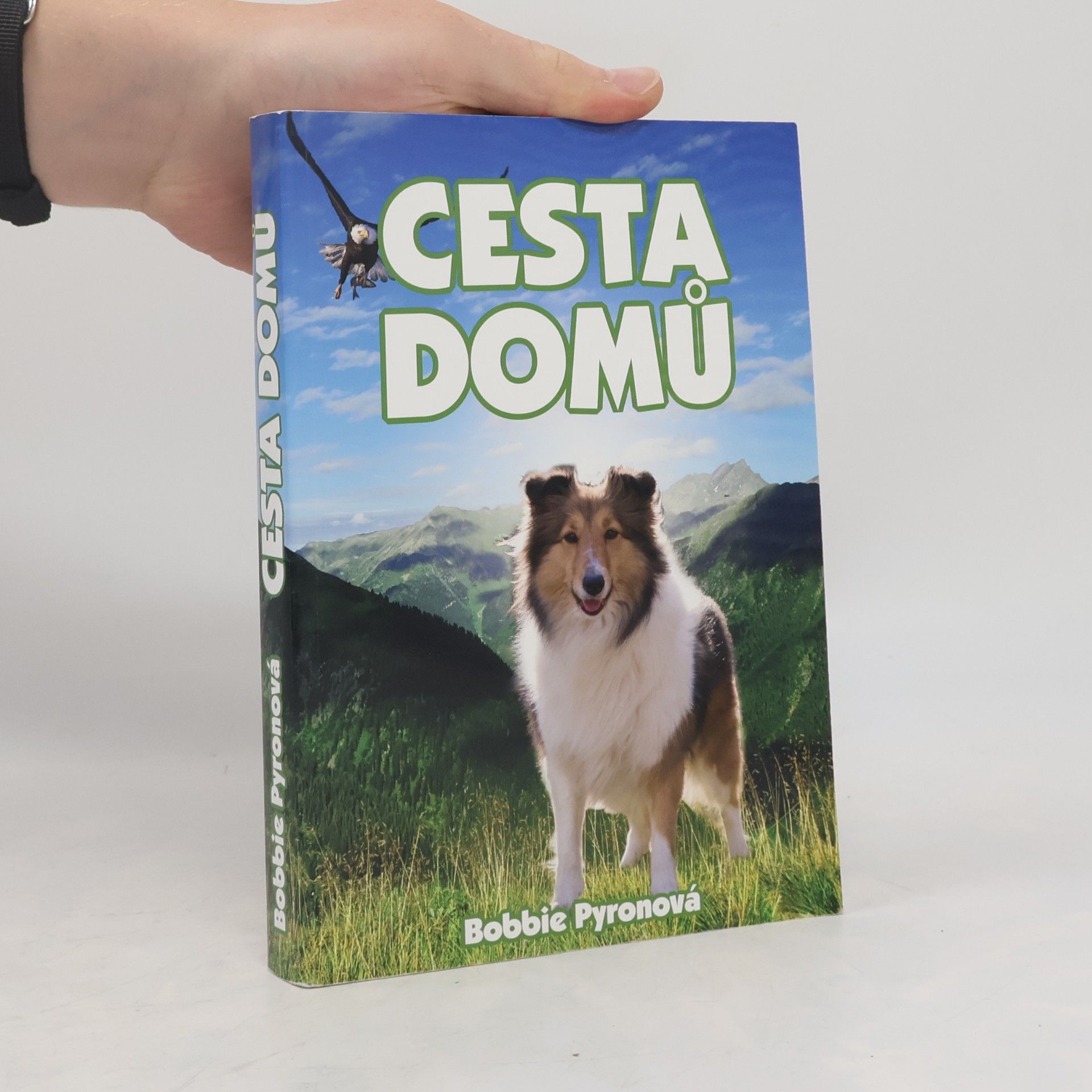 Bobbie Pyron Cesta domů