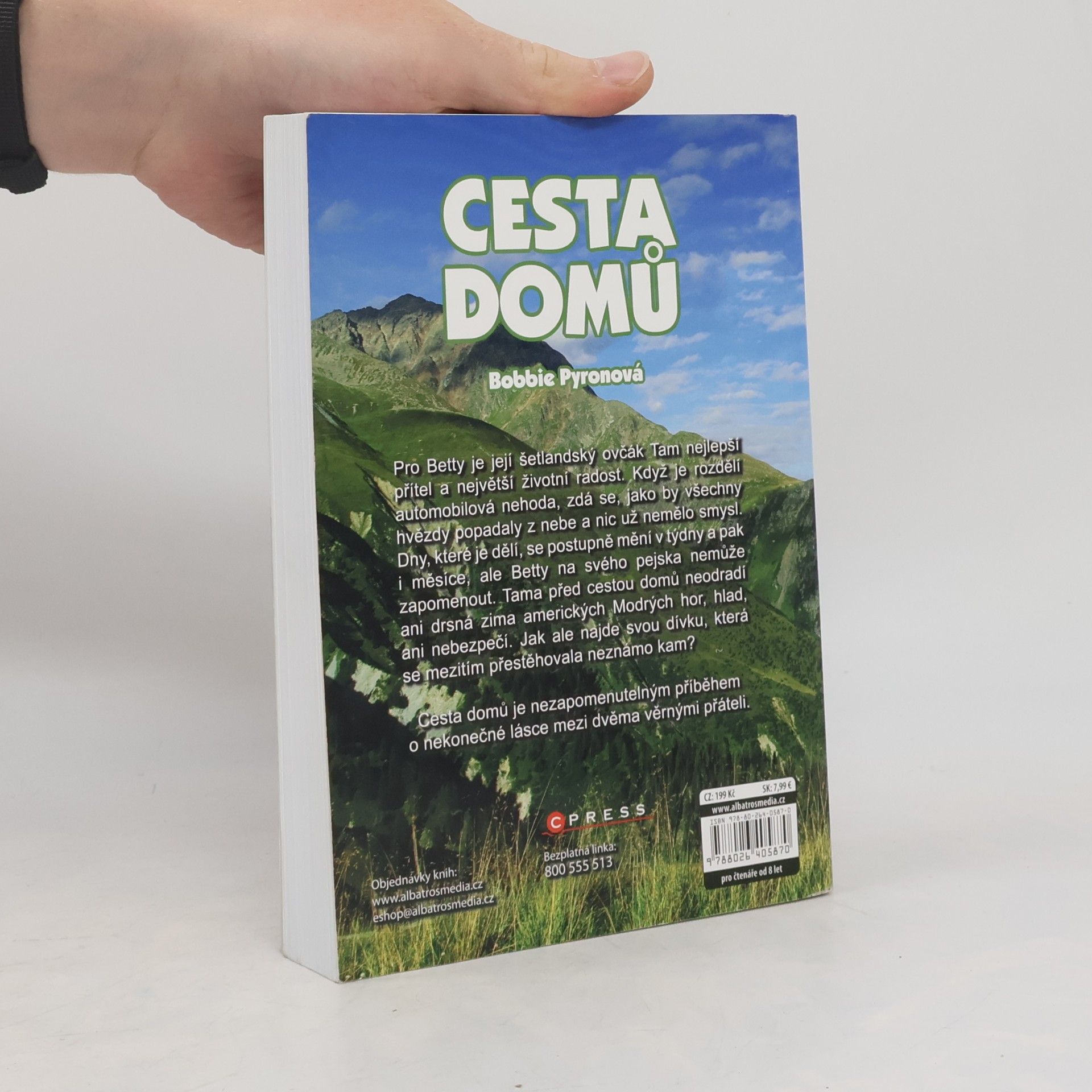 Bobbie Pyron Cesta domů