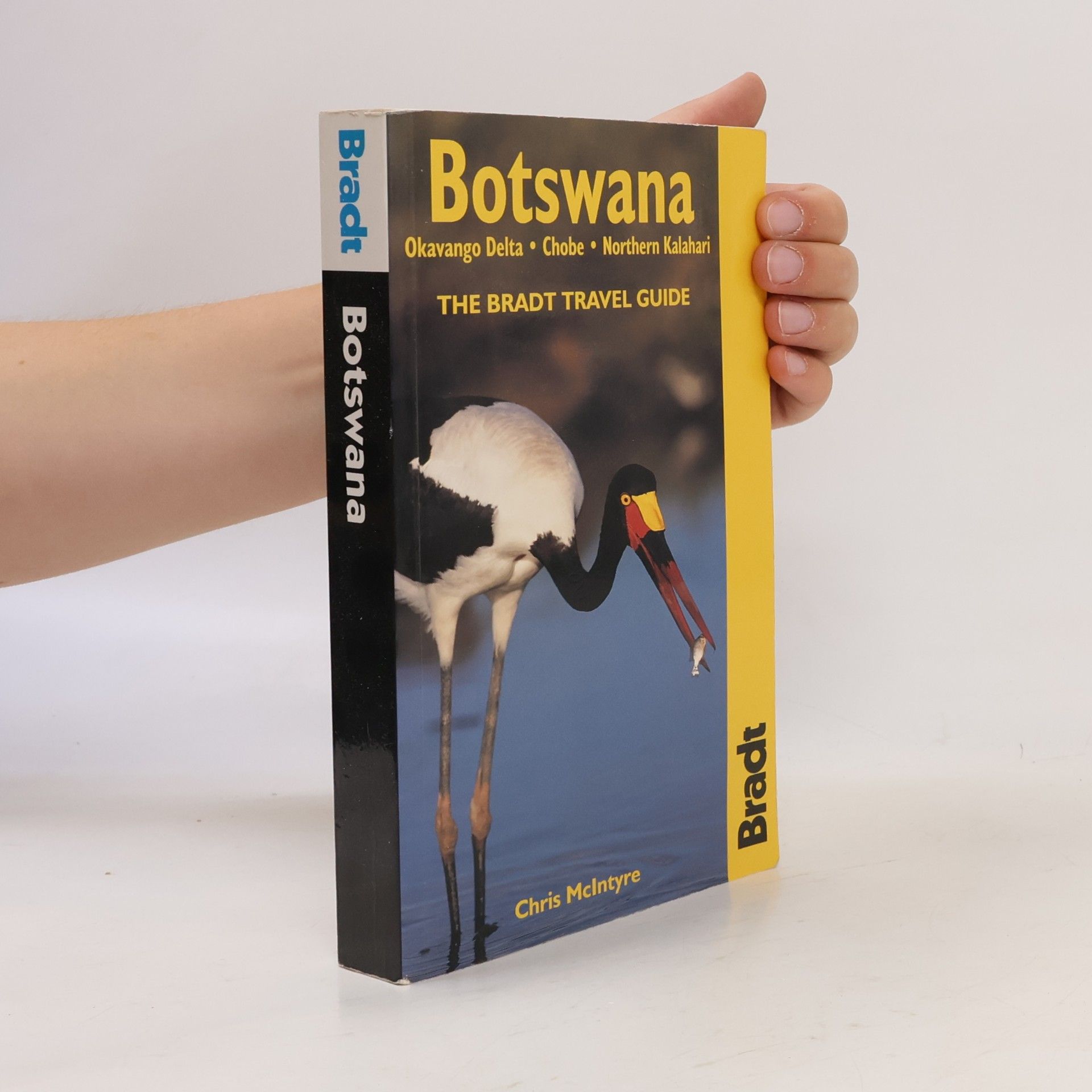 Chris McIntyre The Bradt Travel Guide: Botswana