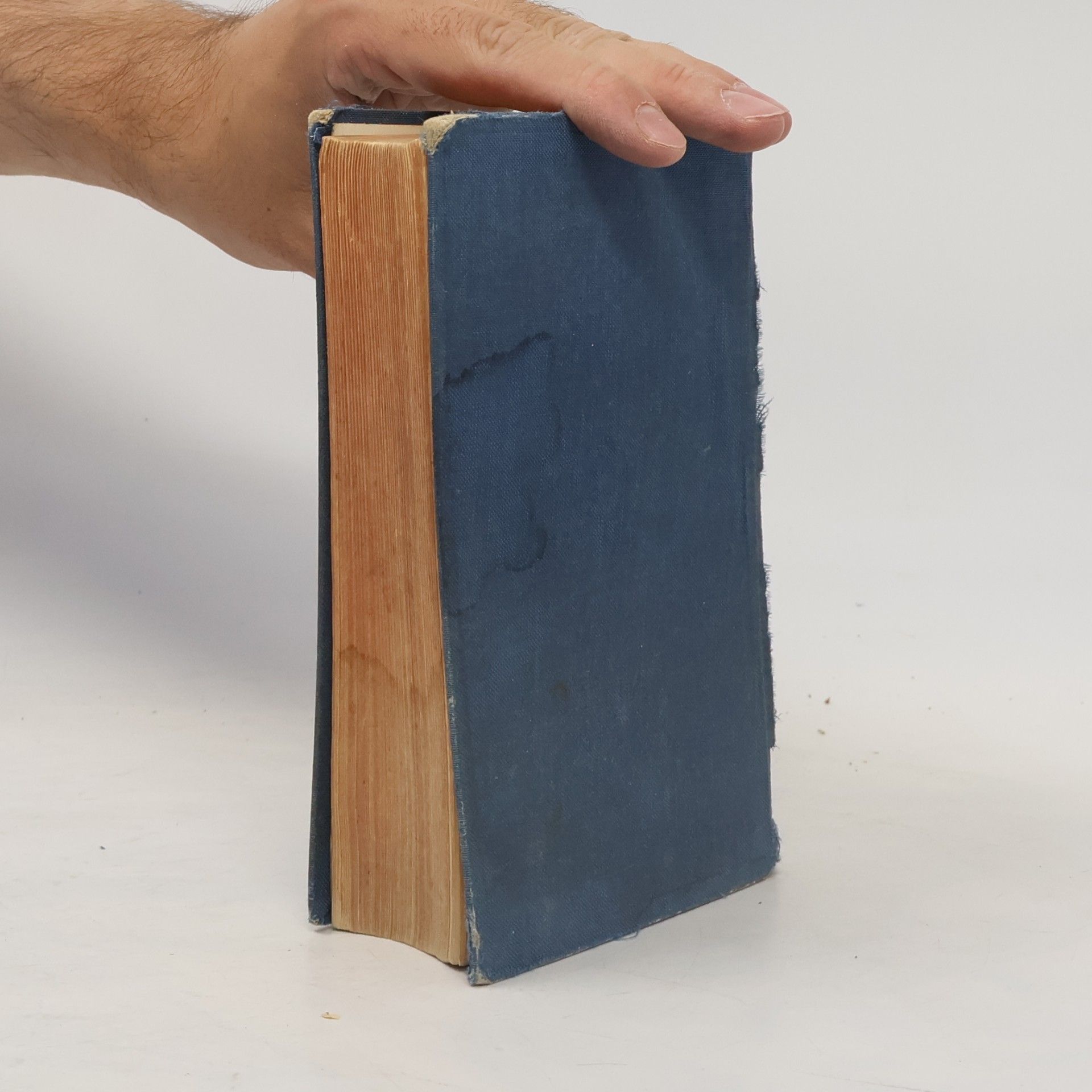 Martin Luther Die Bibel oder die ganze Heilige Schrift