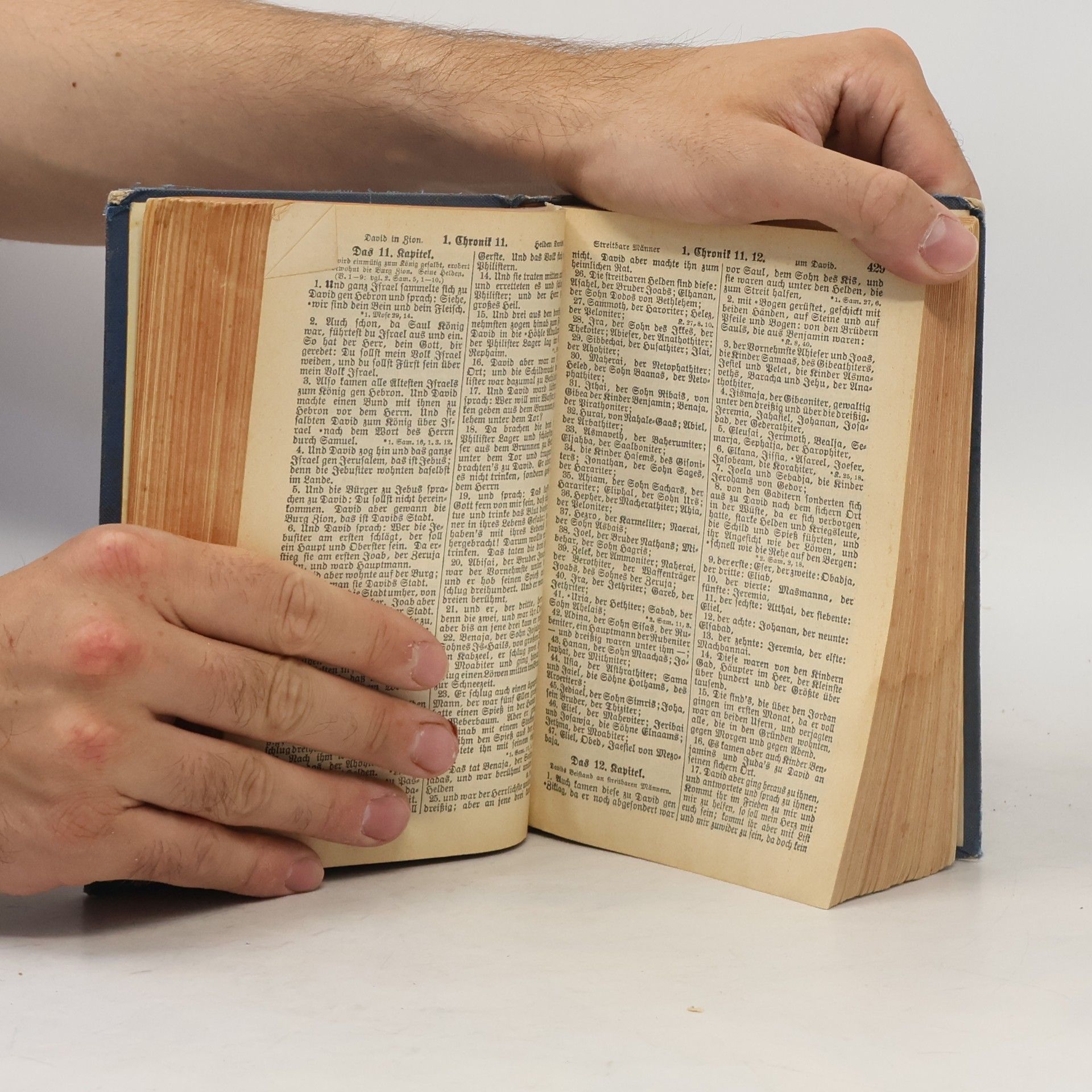 Martin Luther Die Bibel oder die ganze Heilige Schrift