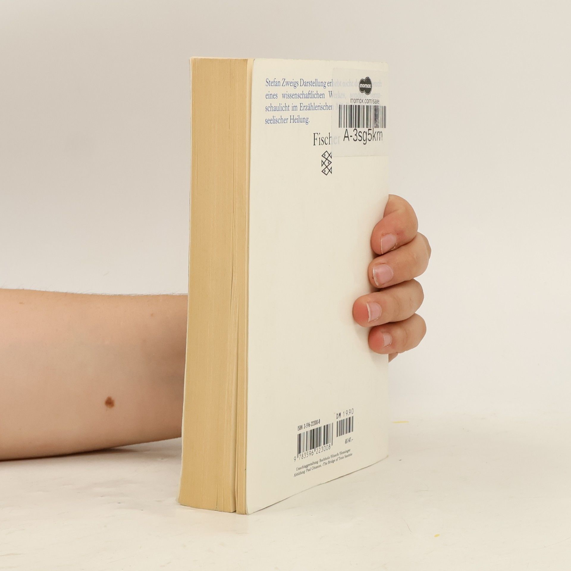 Stefan Zweig Die Heilung durch den Geist