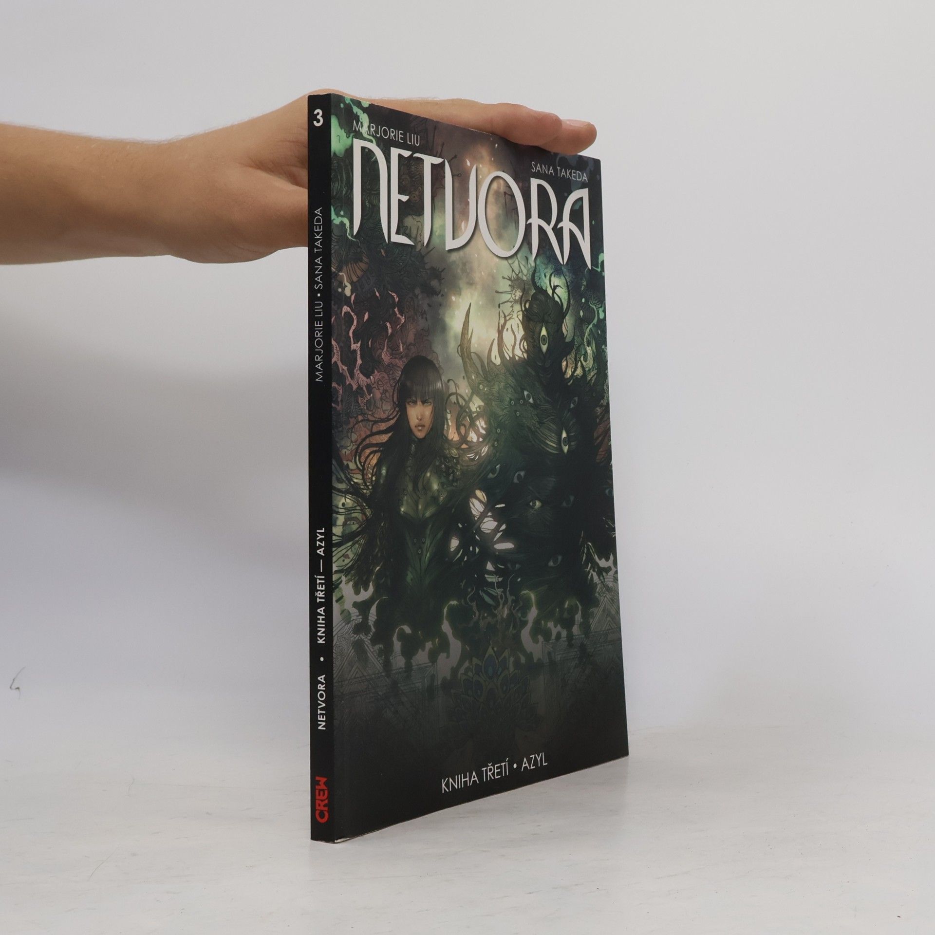 Marjorie Liu Netvora. Azyl. Kniha 3.