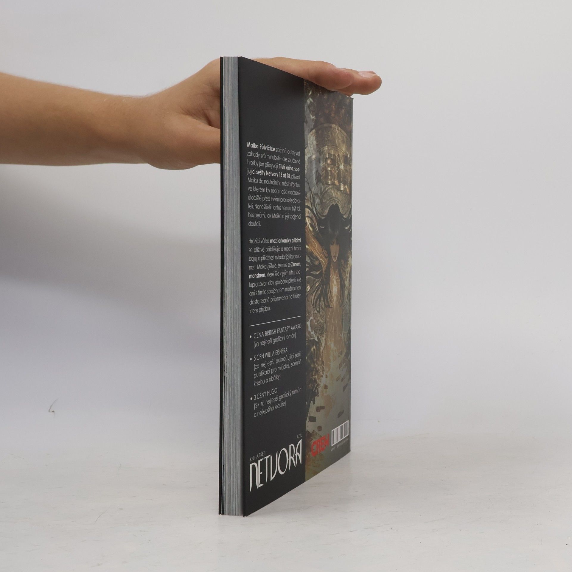 Marjorie Liu Netvora. Azyl. Kniha 3.
