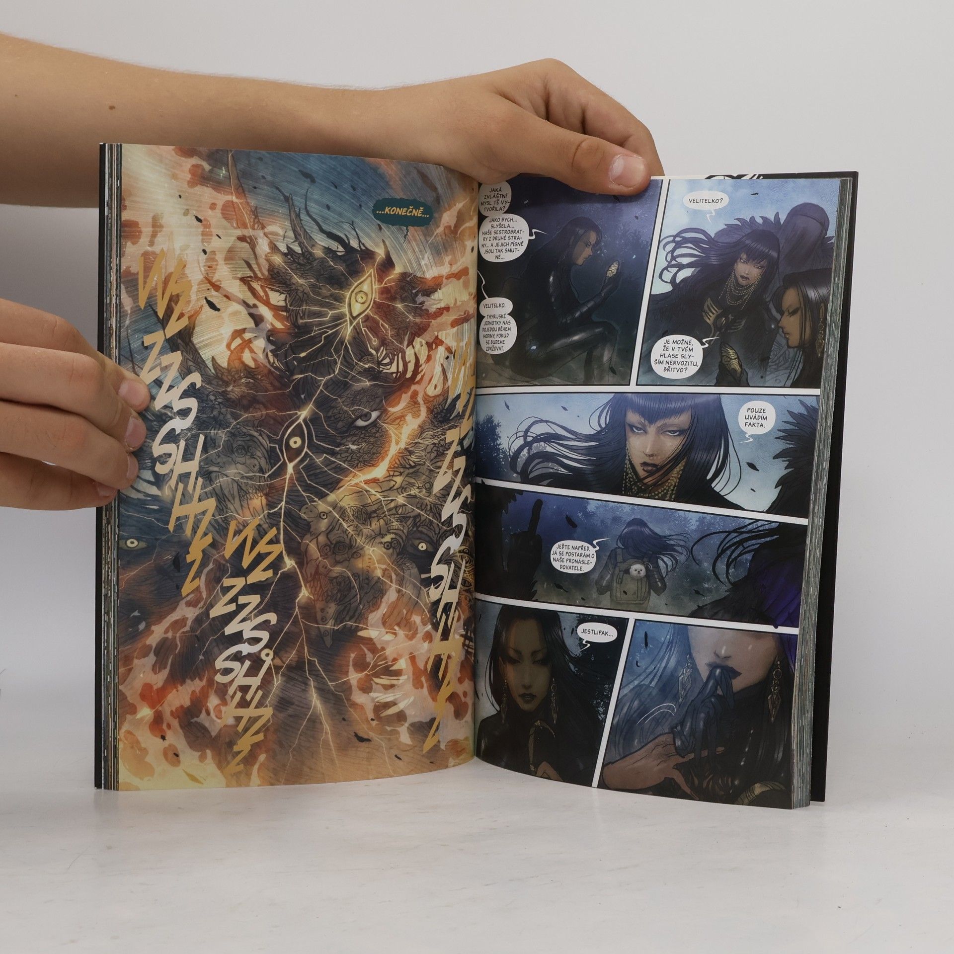 Marjorie Liu Netvora. Azyl. Kniha 3.