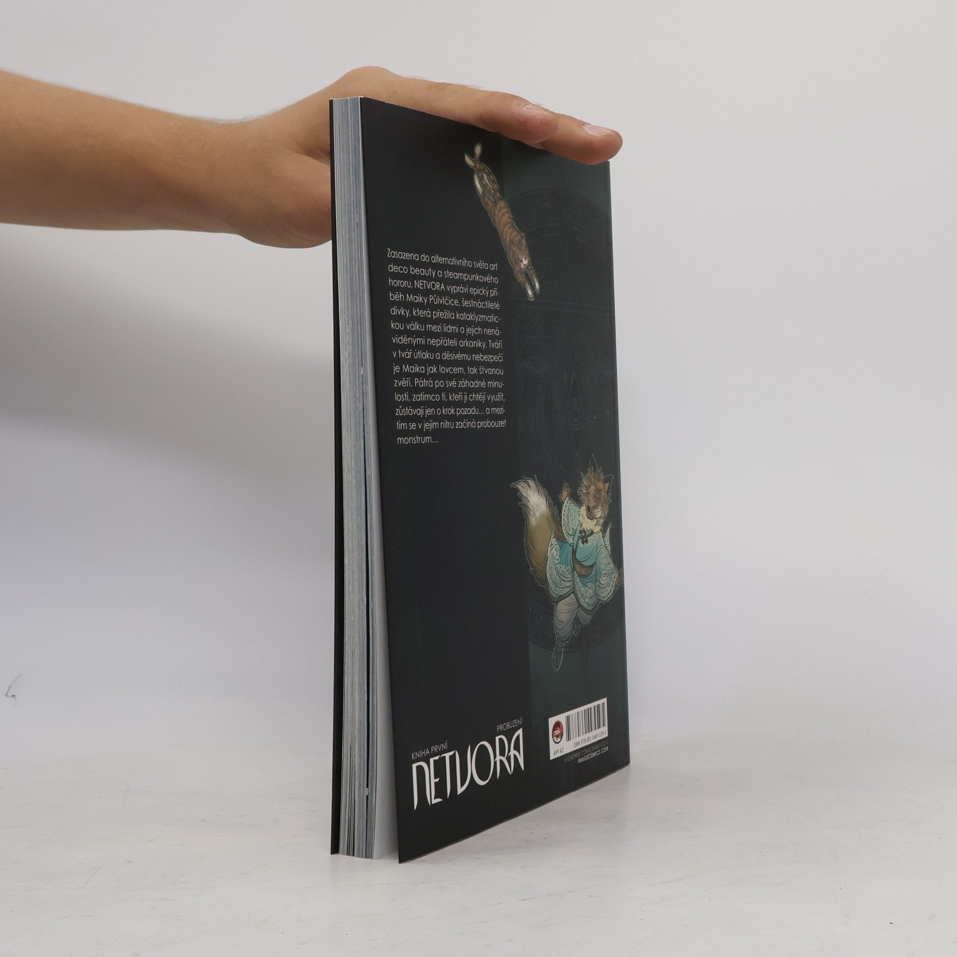 Marjorie Liu Netvora. Kniha první, Probuzení