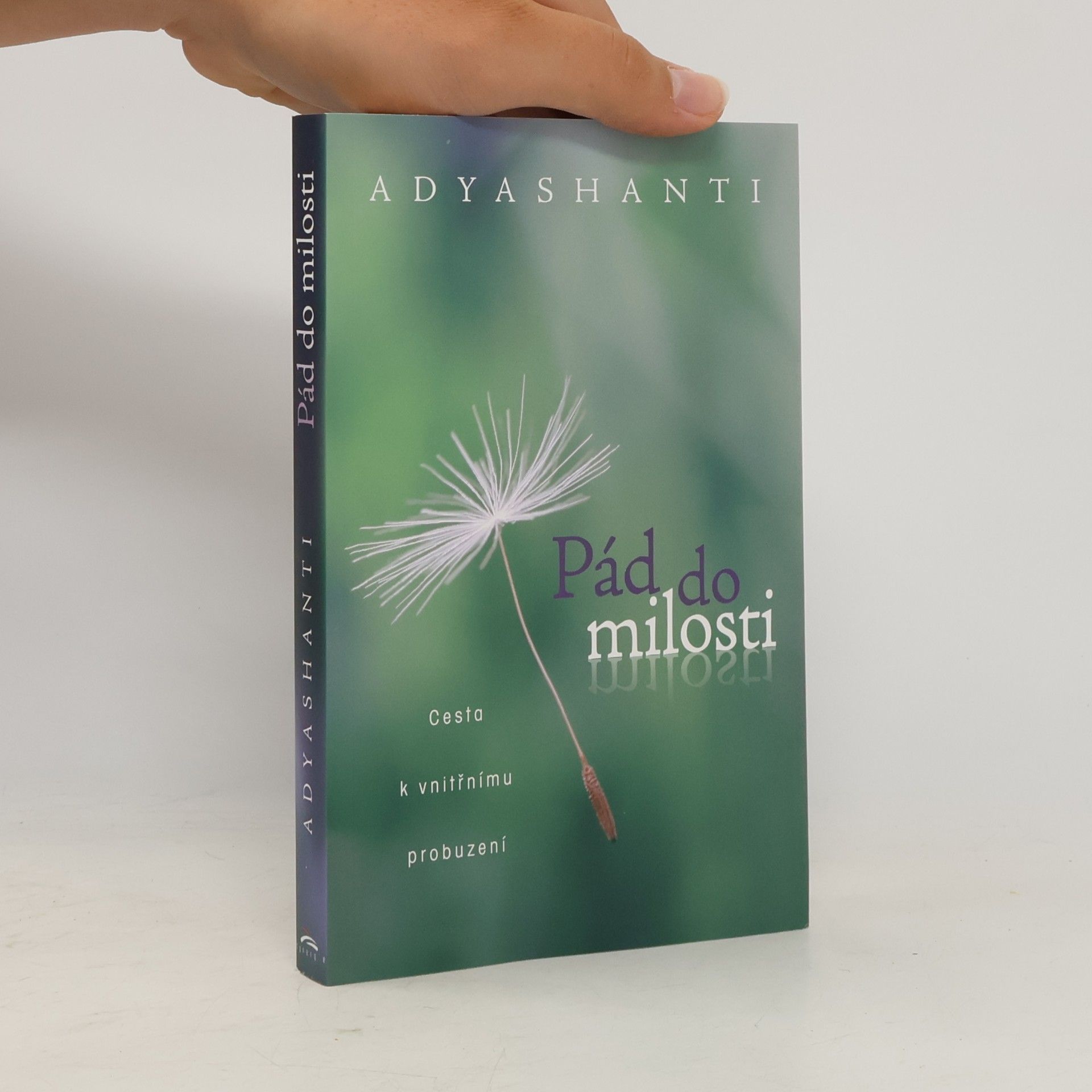Adyashanti Pád do milosti
