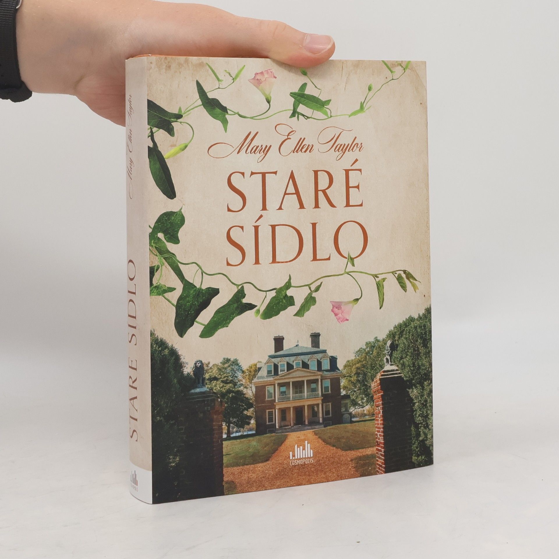 Mary Ellen Taylor Staré sídlo