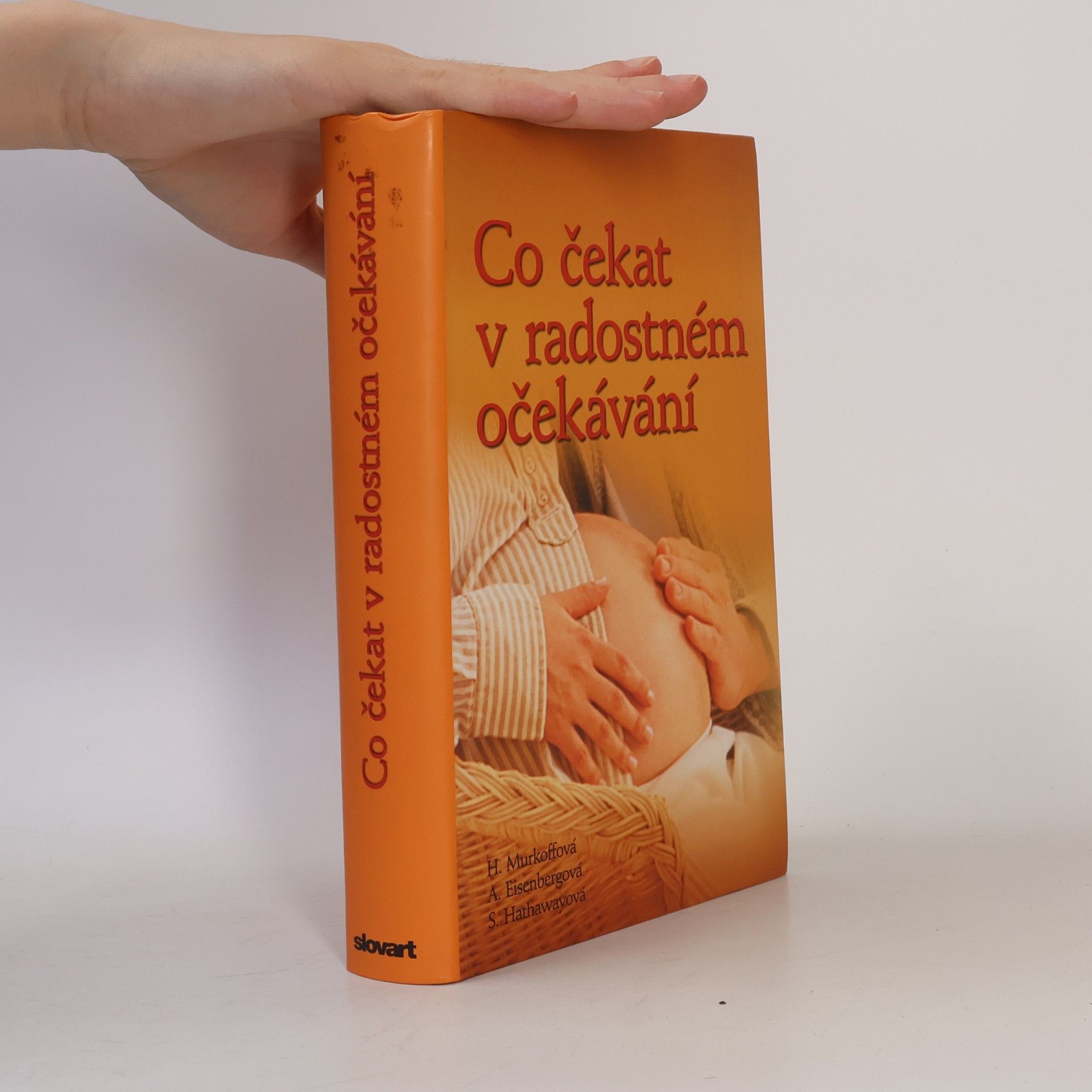 Heidi Murkoff Co čekat v radostném očekávání