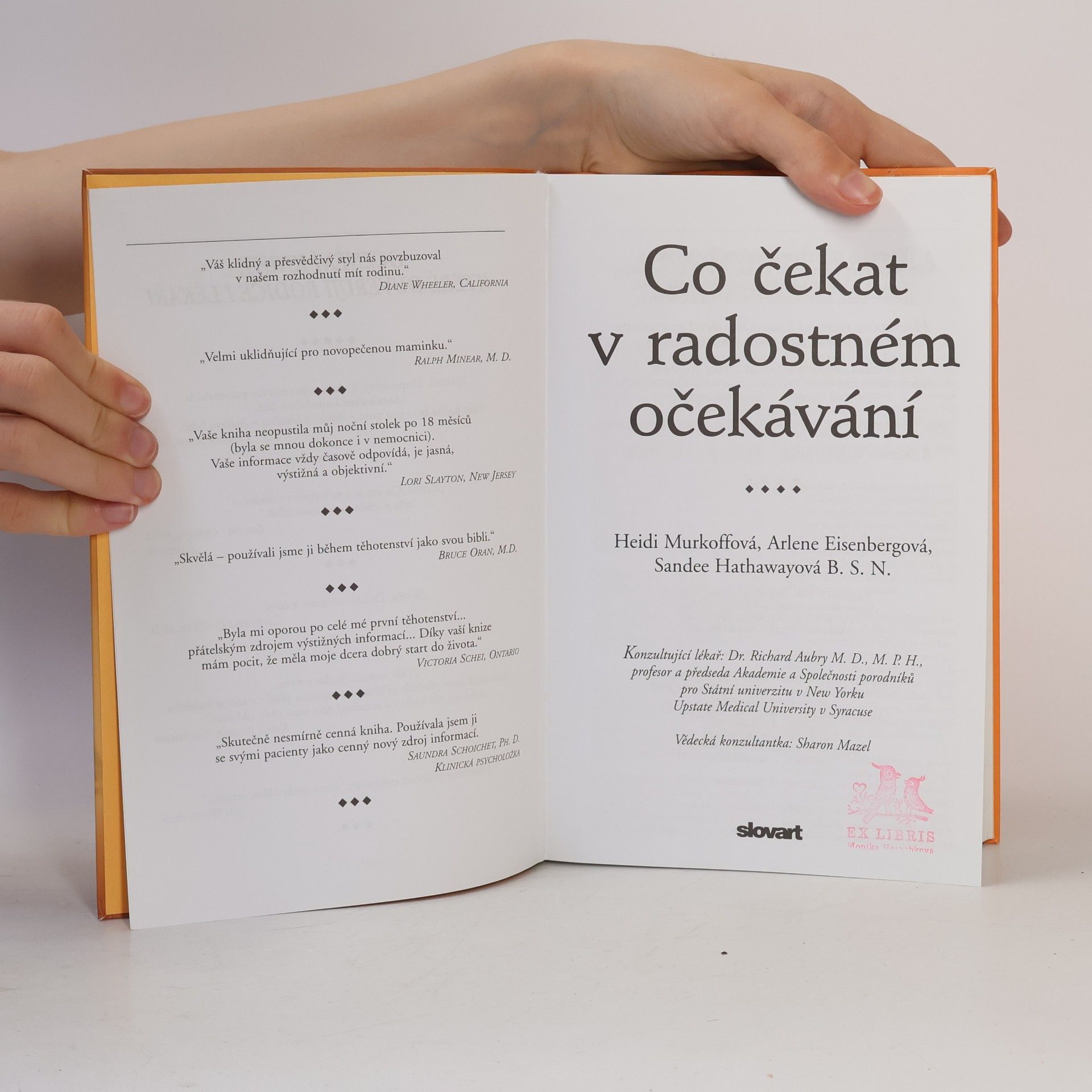 Heidi Murkoff Co čekat v radostném očekávání