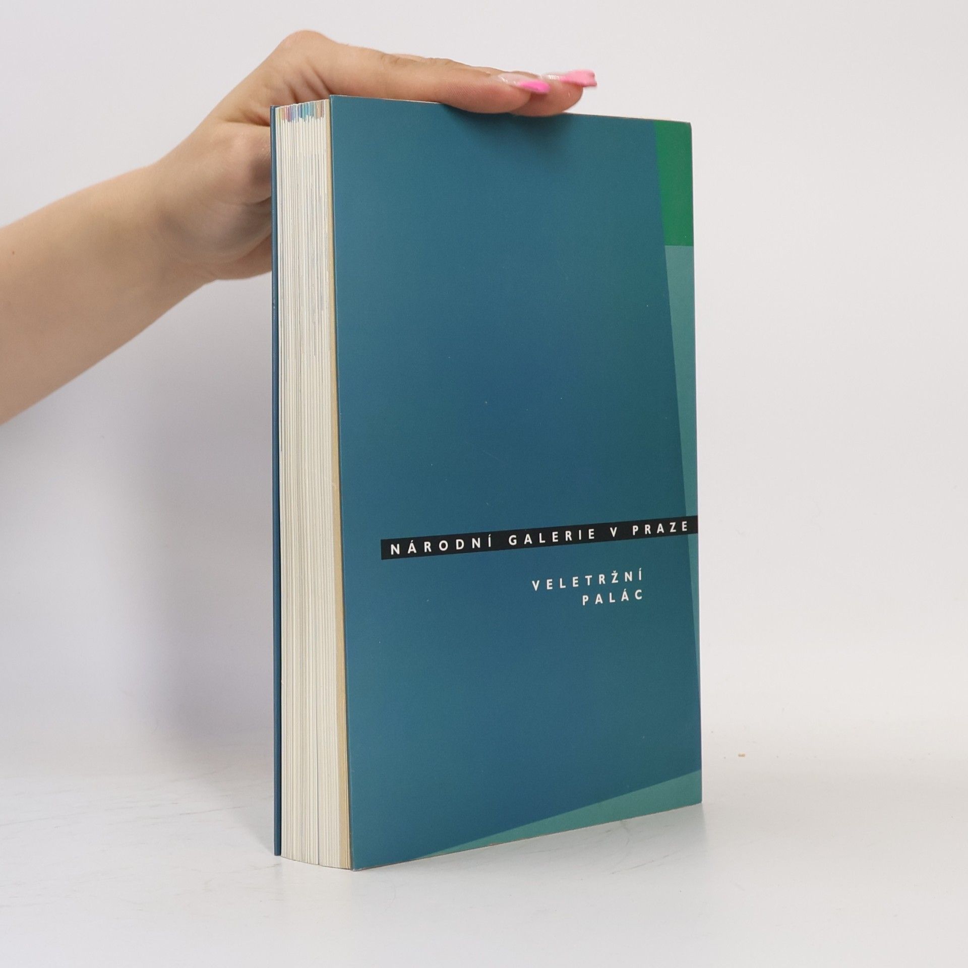 Autorenkollektiv České moderní umění 1900-1960 (katalog stálé expozice)