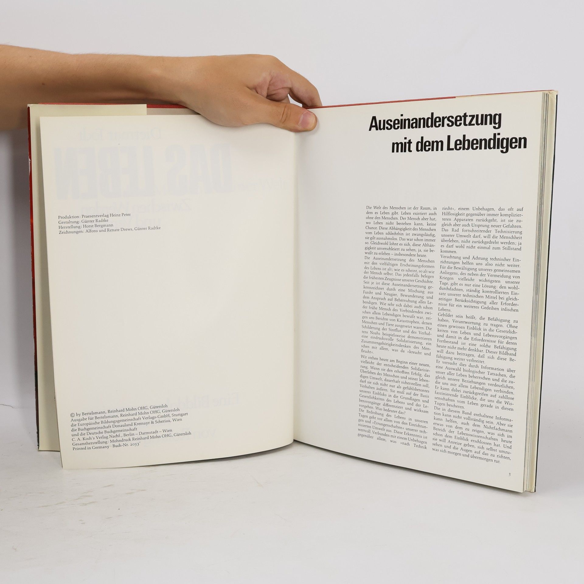 Autorenkollektiv Das Leben. Zwischen Werden und Vergehen