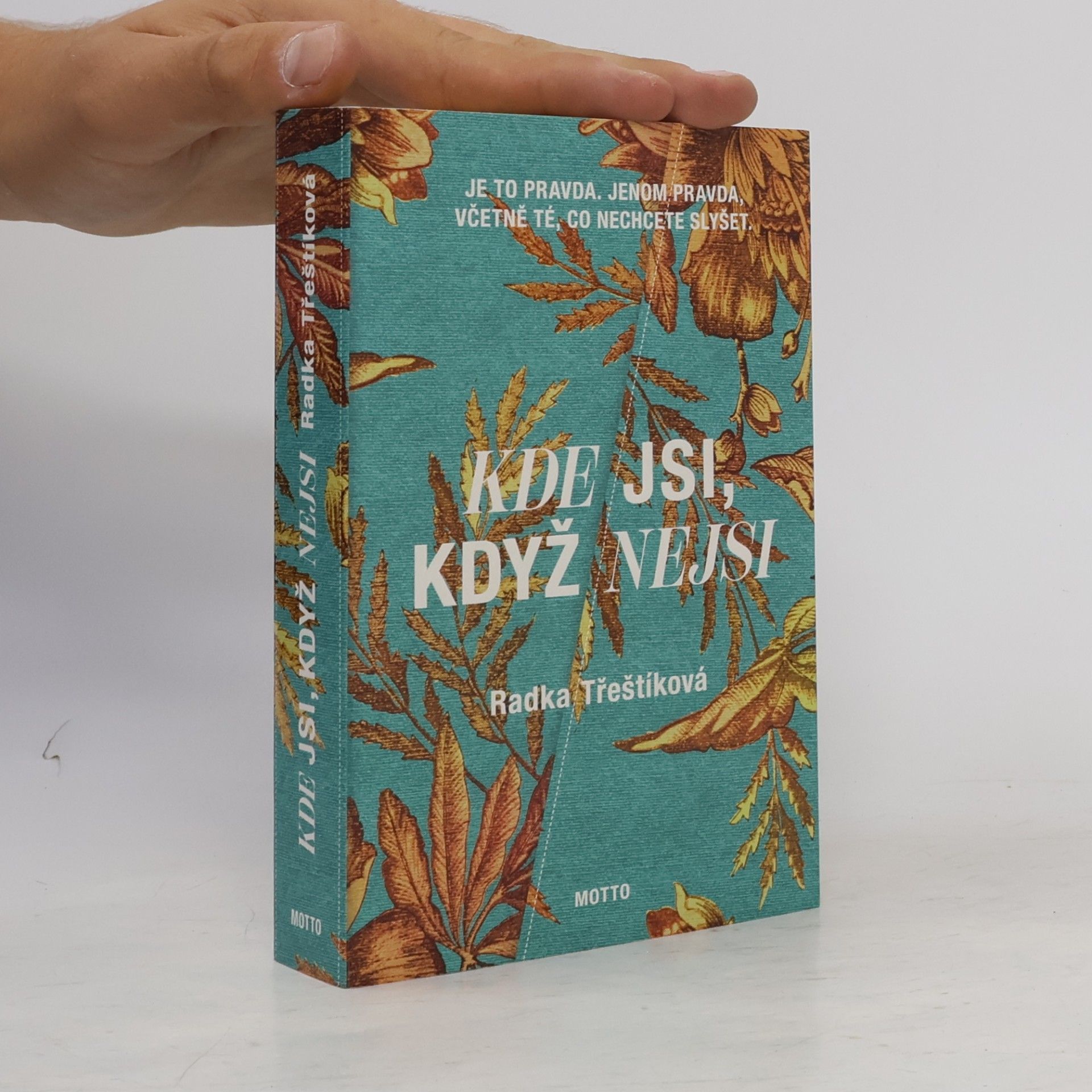 Radka Třeštíková Kde jsi, když nejsi