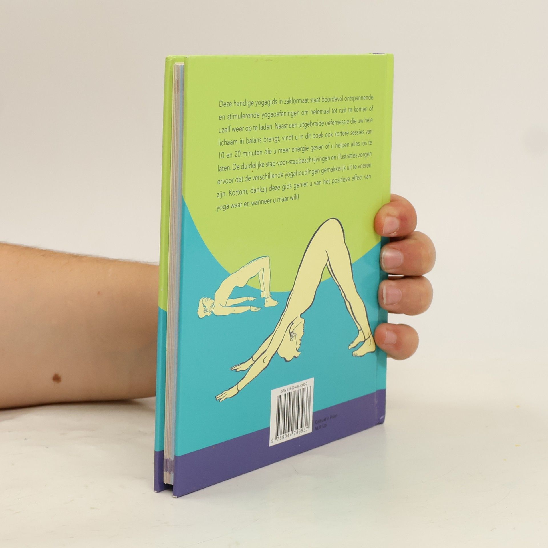 Jude Reignier Basisboek Yoga