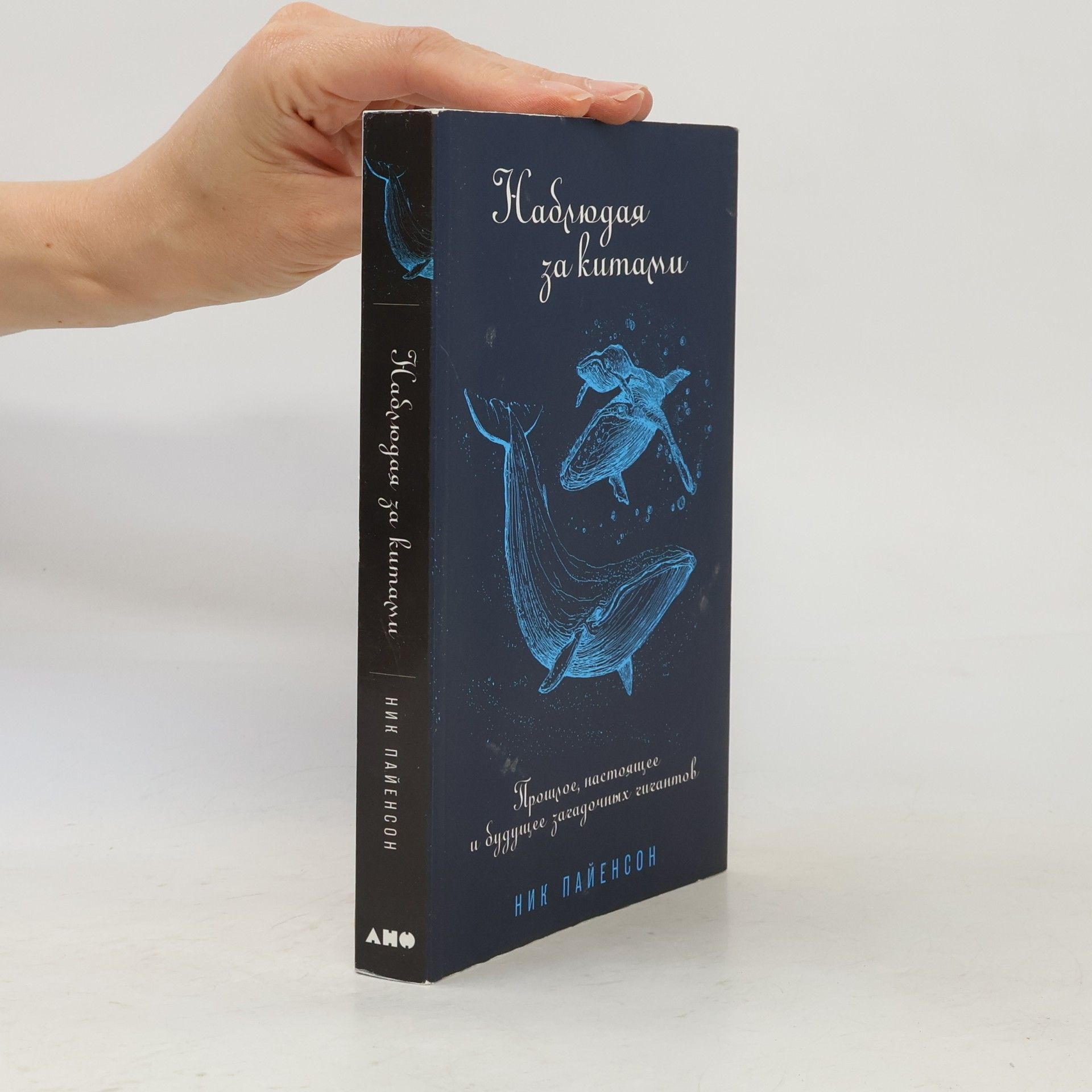 Nik Payyenson Наблюдая за китами. Nablyudaya za kitami