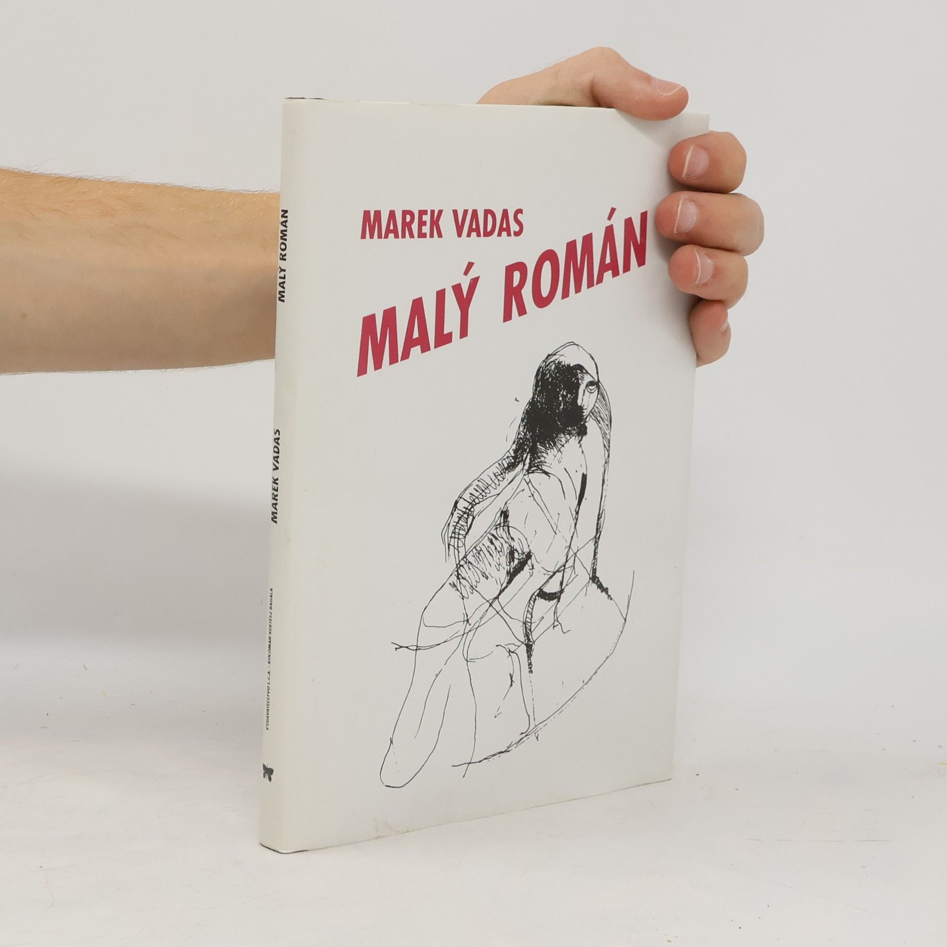 Marek Vadas Malý román