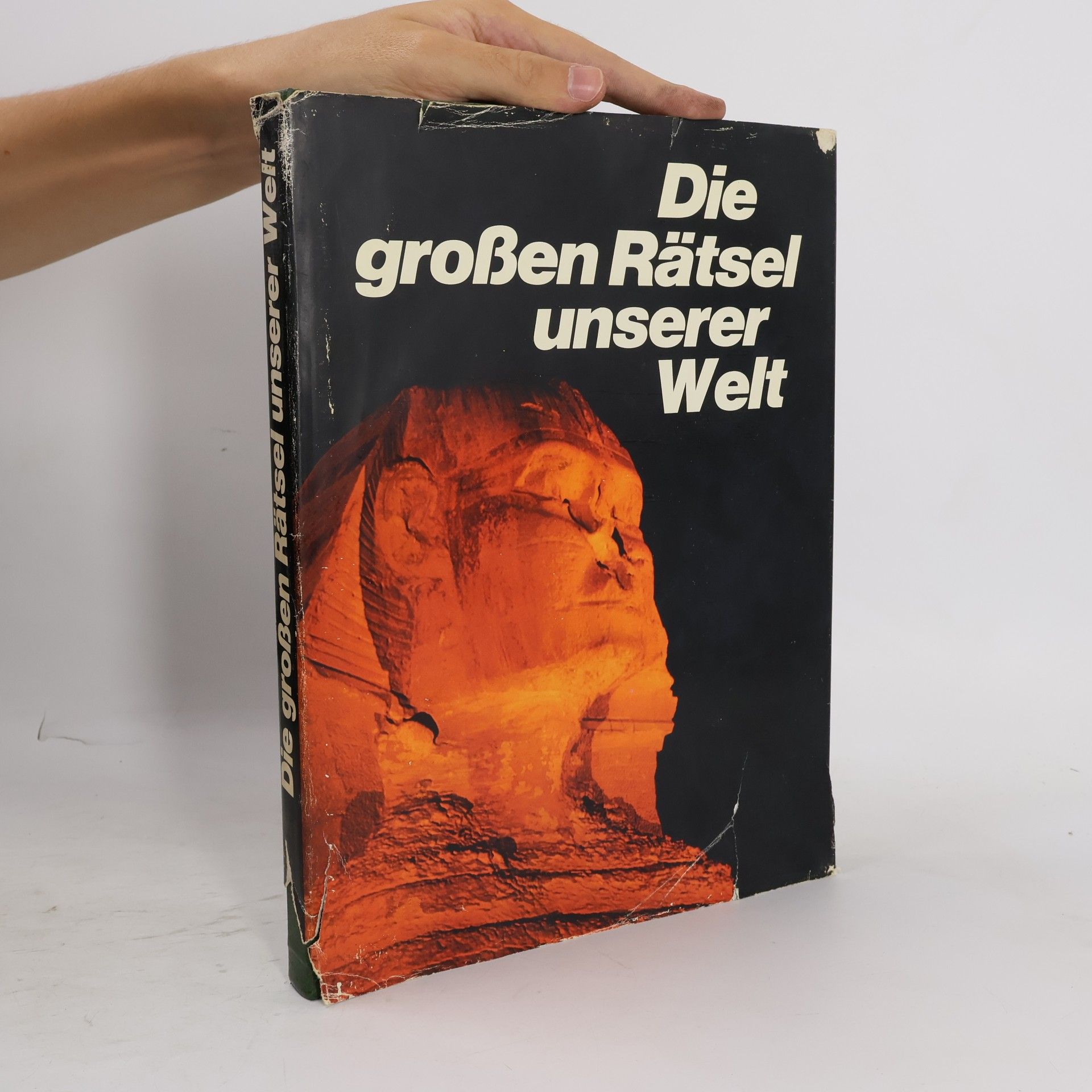 Roland Gööck Die großen Rätsel unserer Welt
