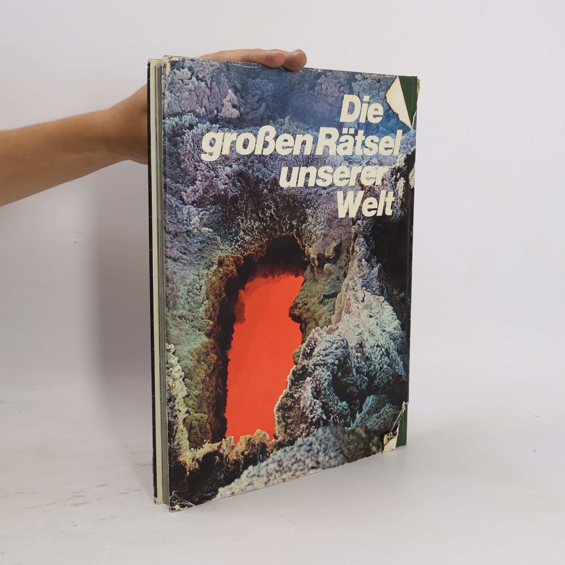 Roland Gööck Die großen Rätsel unserer Welt