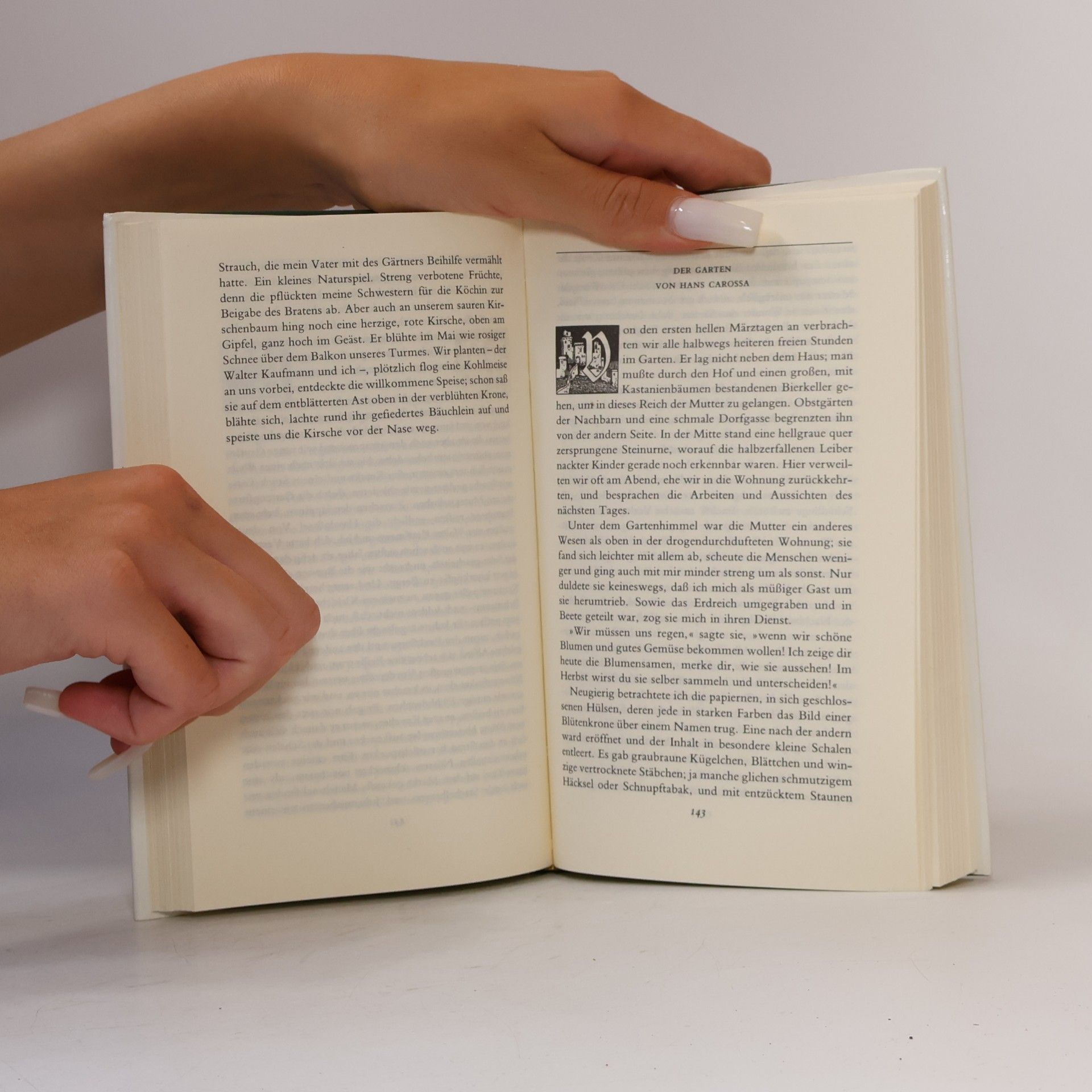 Hans Bender Das Insel Buch der Gärten