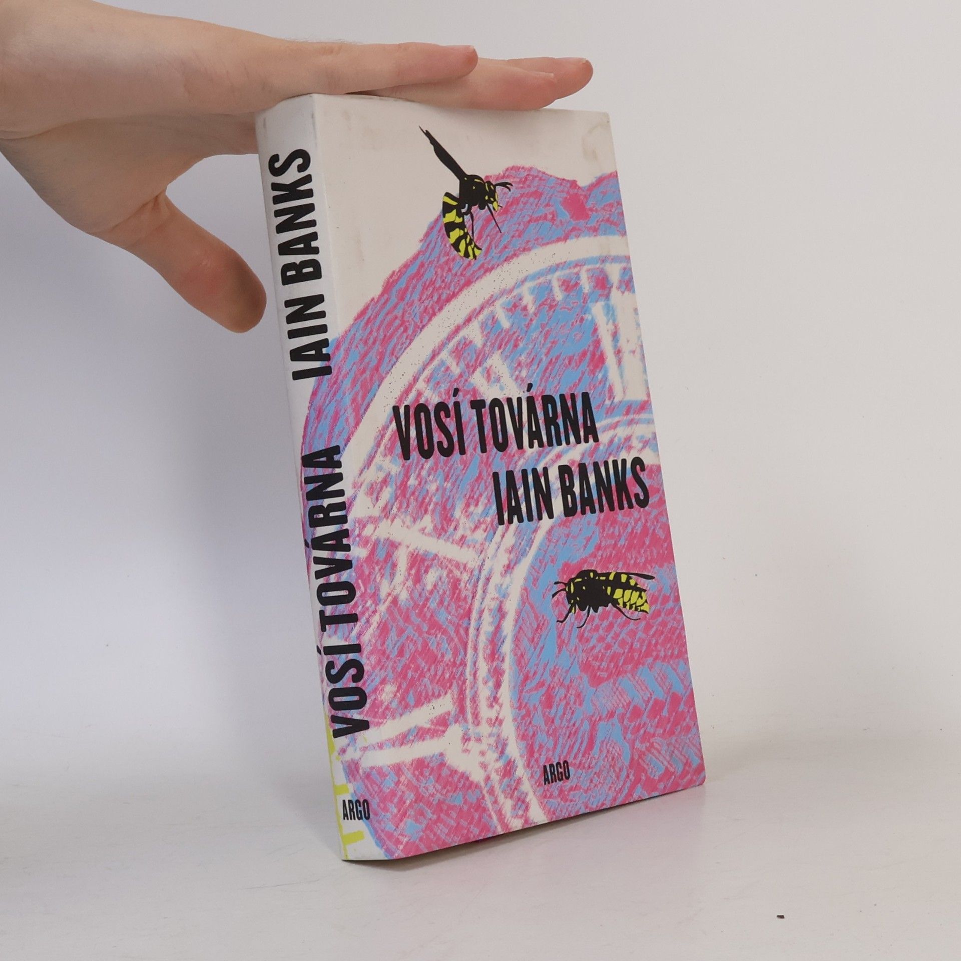 Iain Banks Vosí továrna