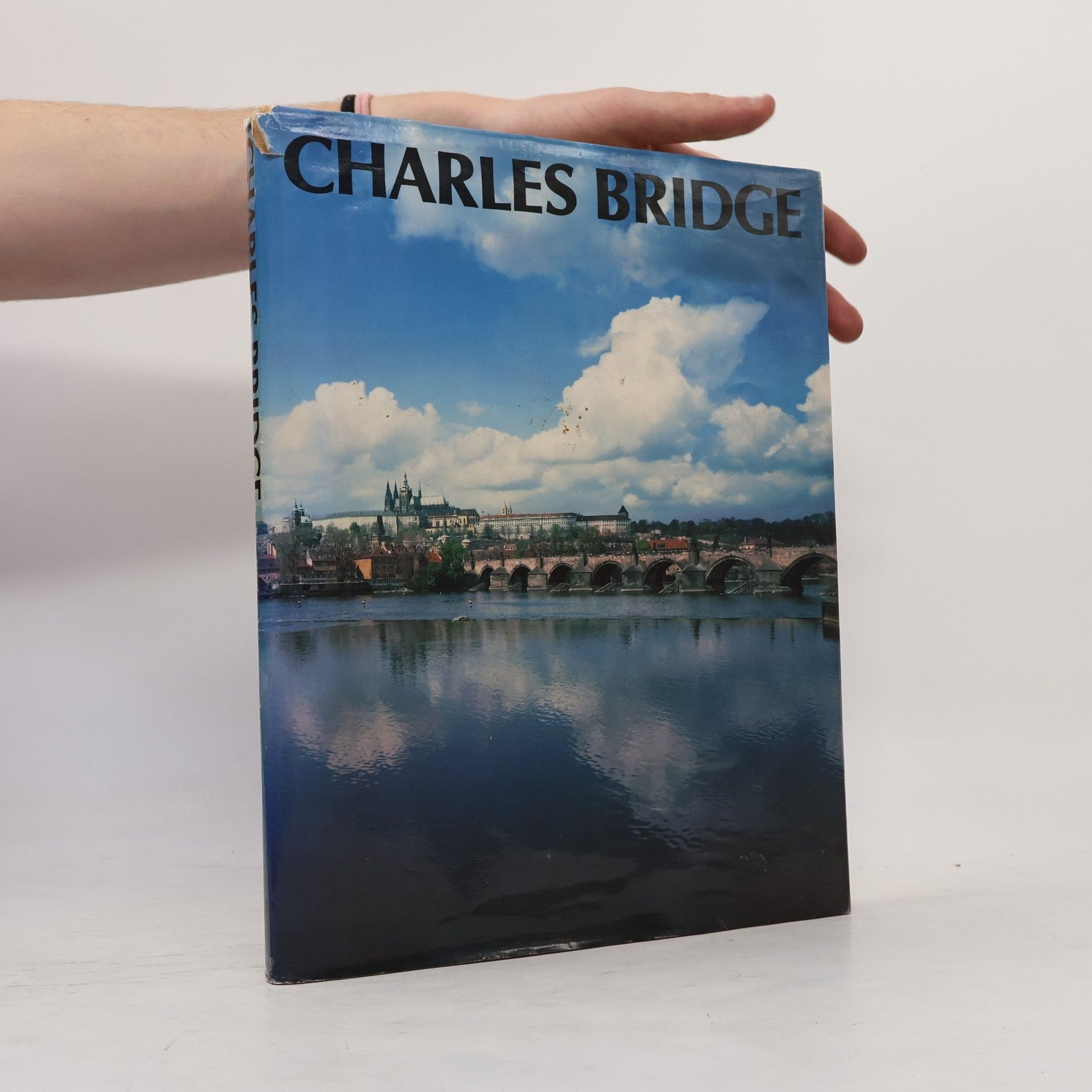 Karel Neubert Charles Bridge