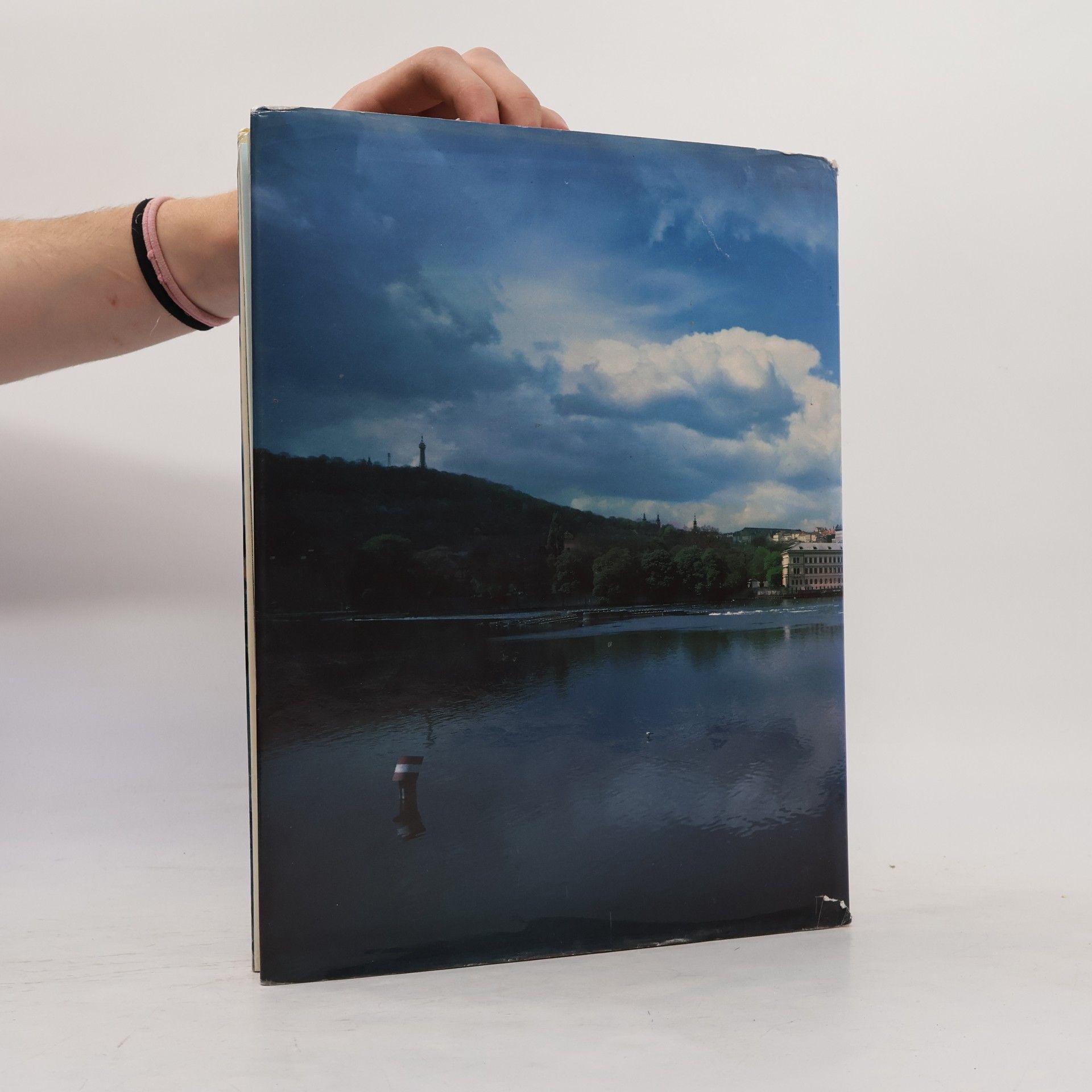 Karel Neubert Charles Bridge