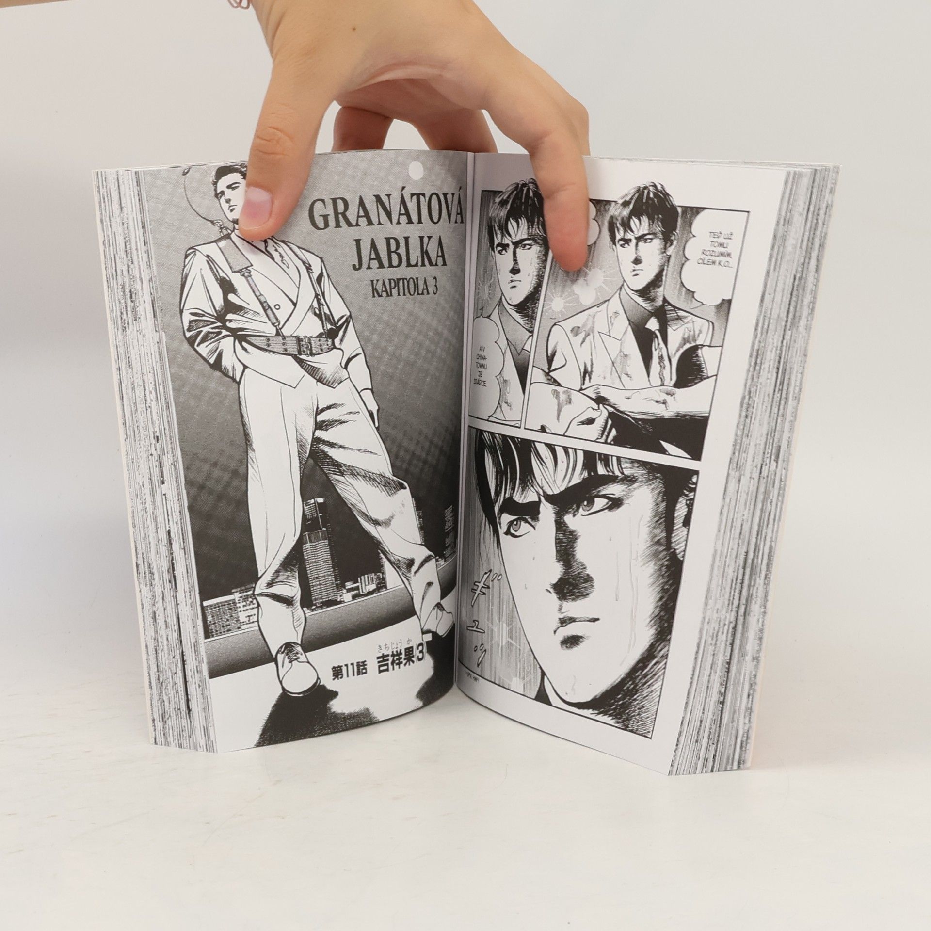 Kazuo Koike Crying Freeman - Plačící drak 4
