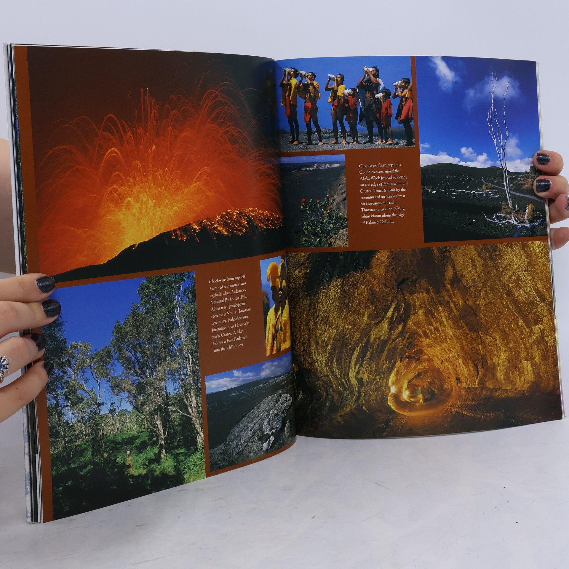 Stu Dawrs Discover Hawaii: The Big Island