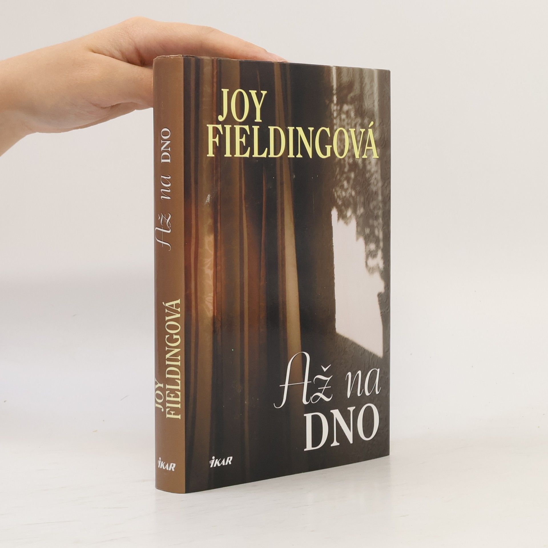 Joy Fielding Až na dno