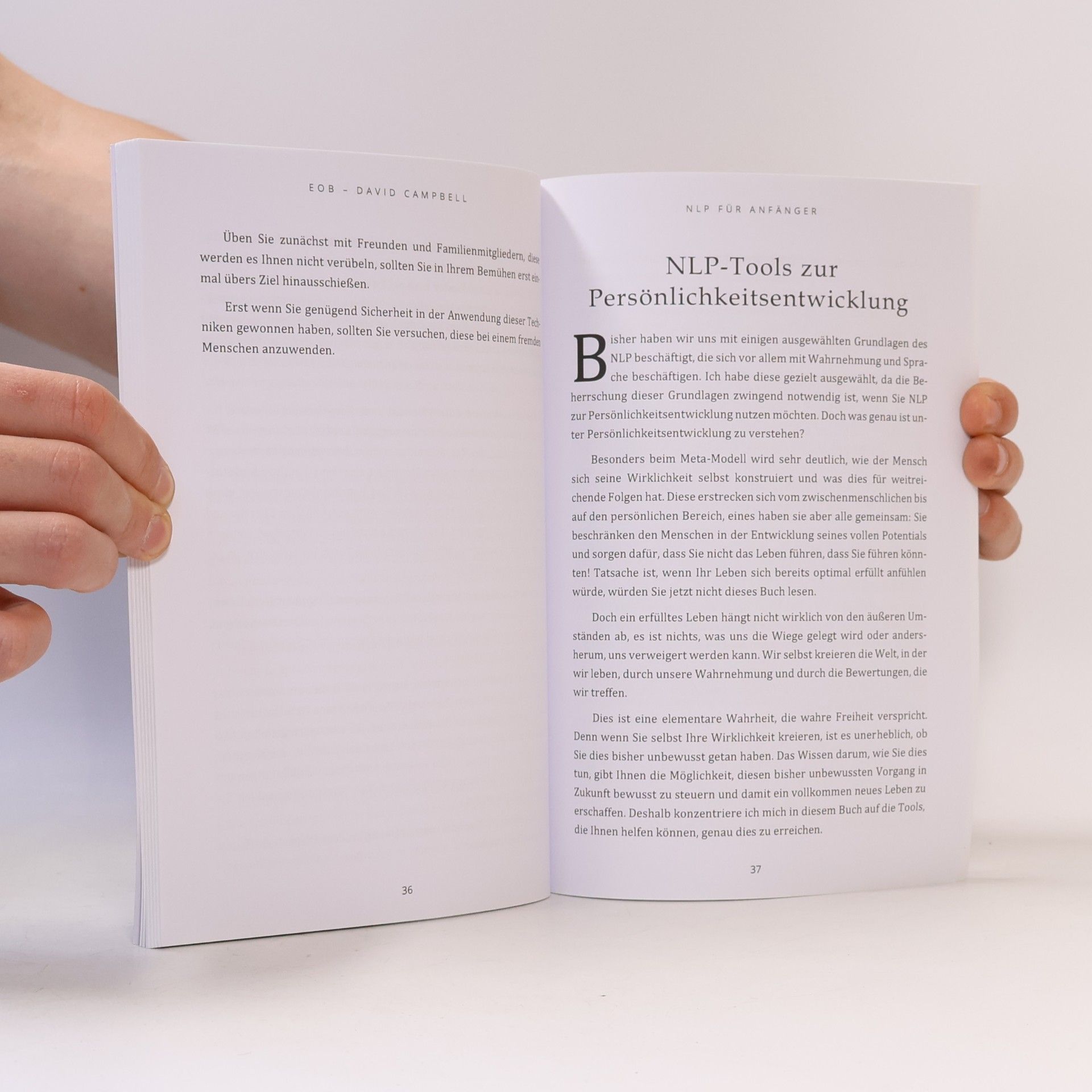 David Campbell NLP für Anfänger