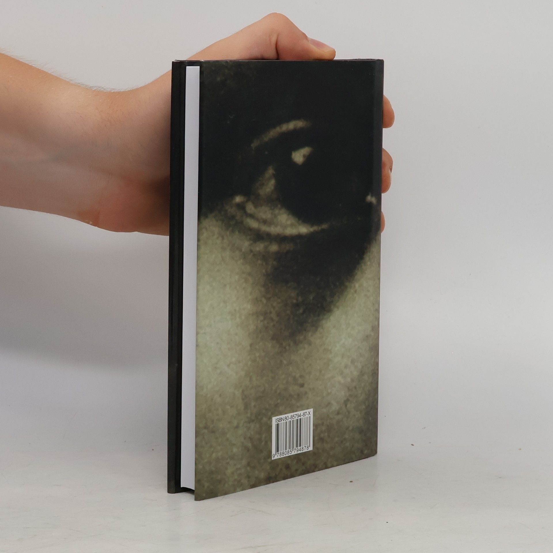 Leonard Cohen Nádherní poražení