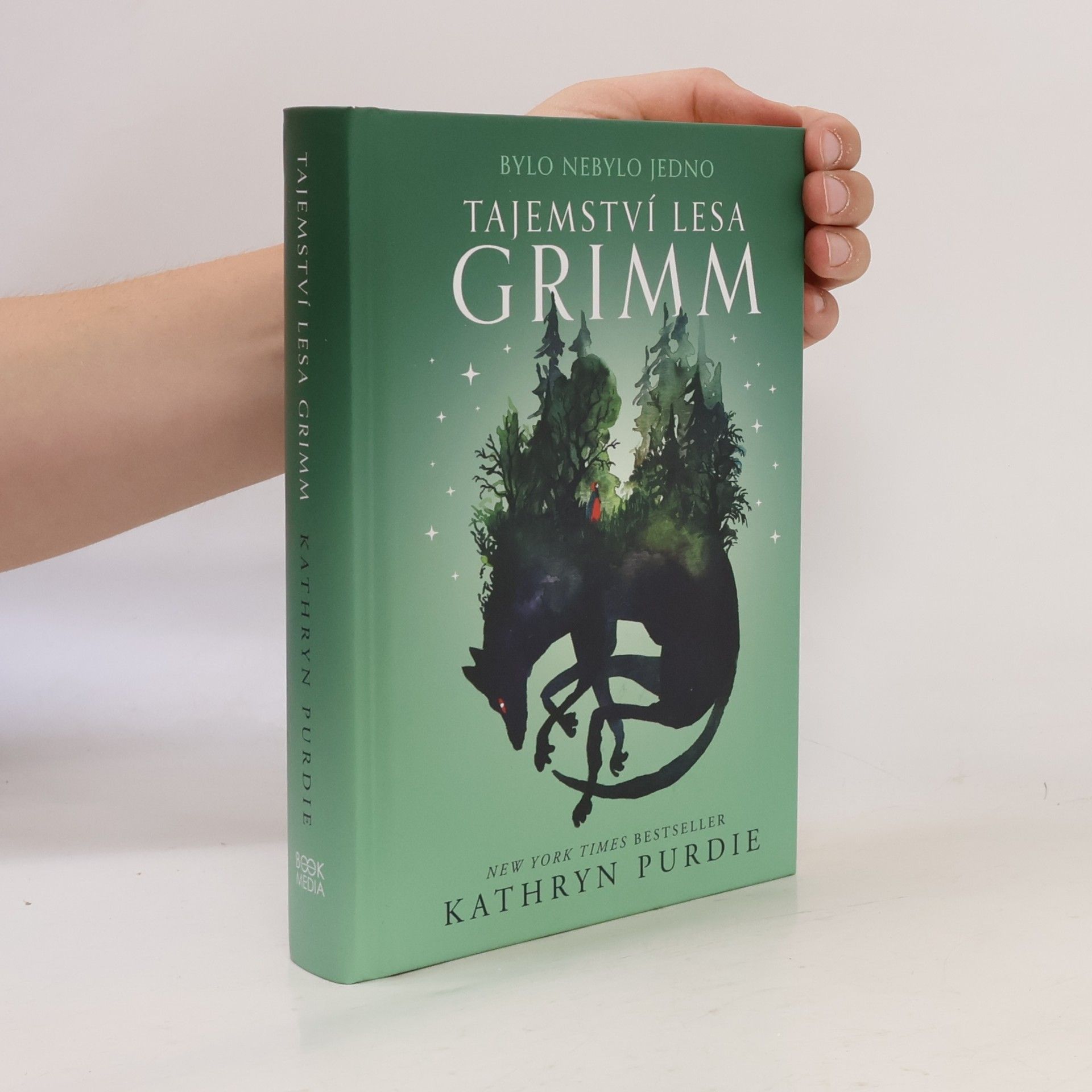 Kathryn Purdie Tajemství lesa Grimm
