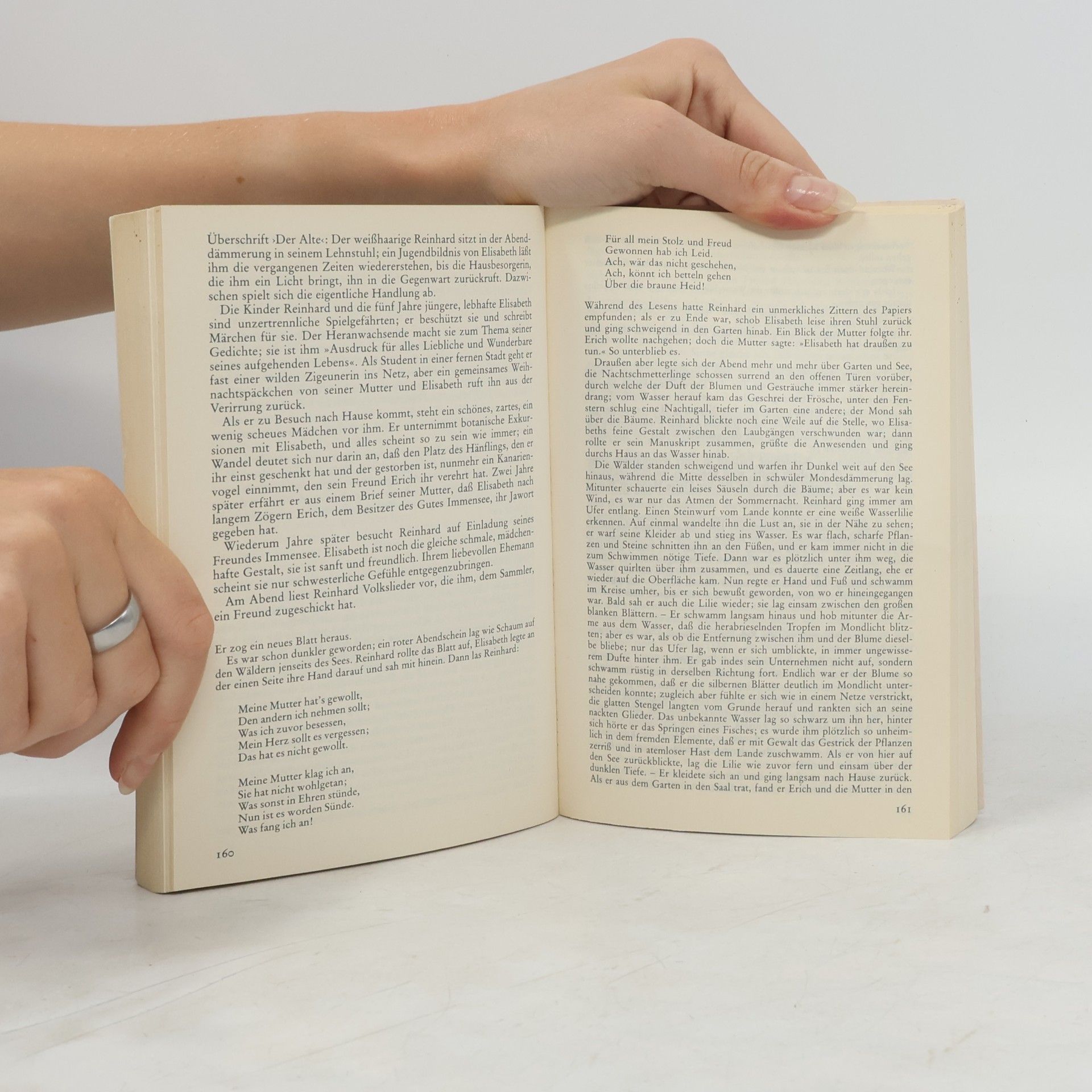 Annemarie van Rinsum Deutsche Literaturgeschichte