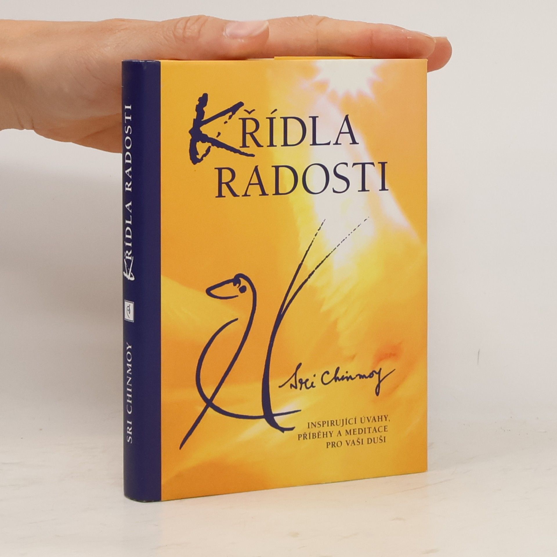Sri Chinmoy Křídla radosti