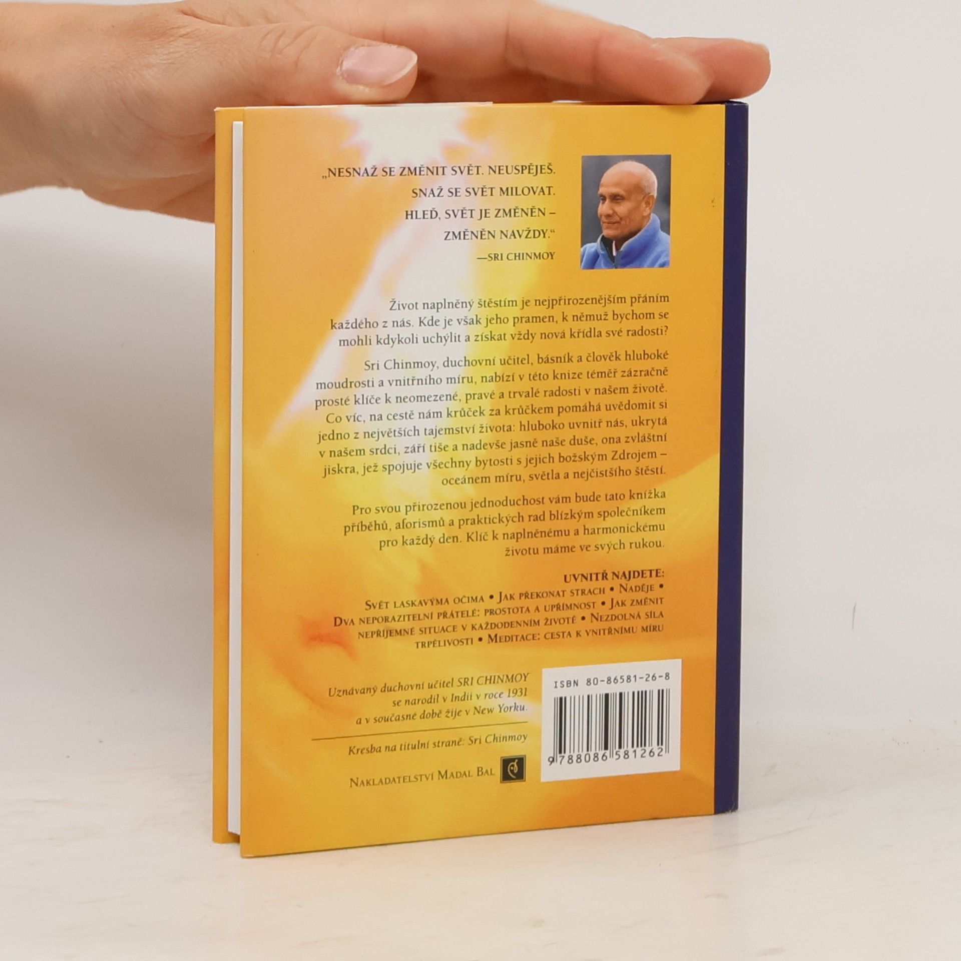 Chinmoy Křídla radosti