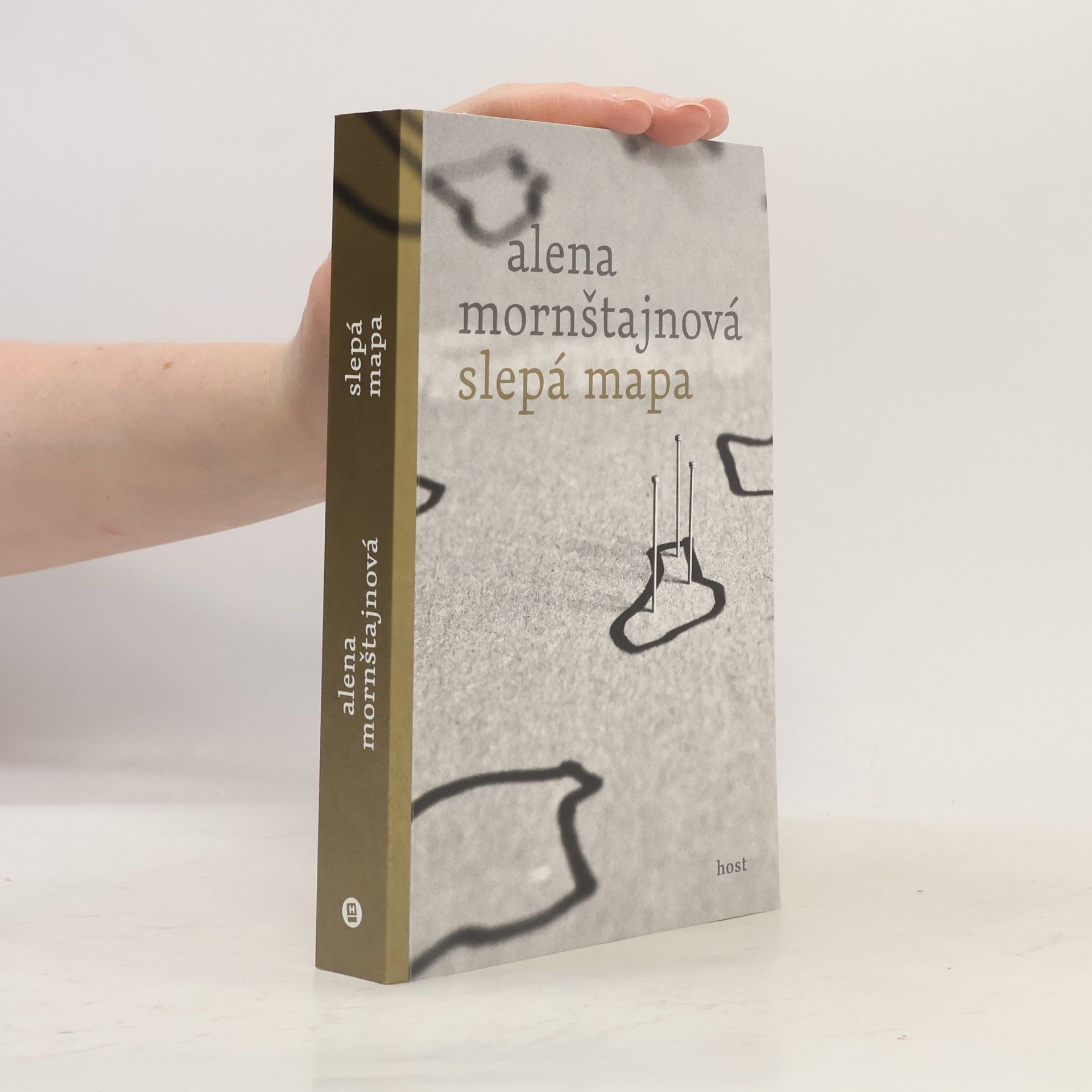 Alena Mornštajnová Slepá mapa