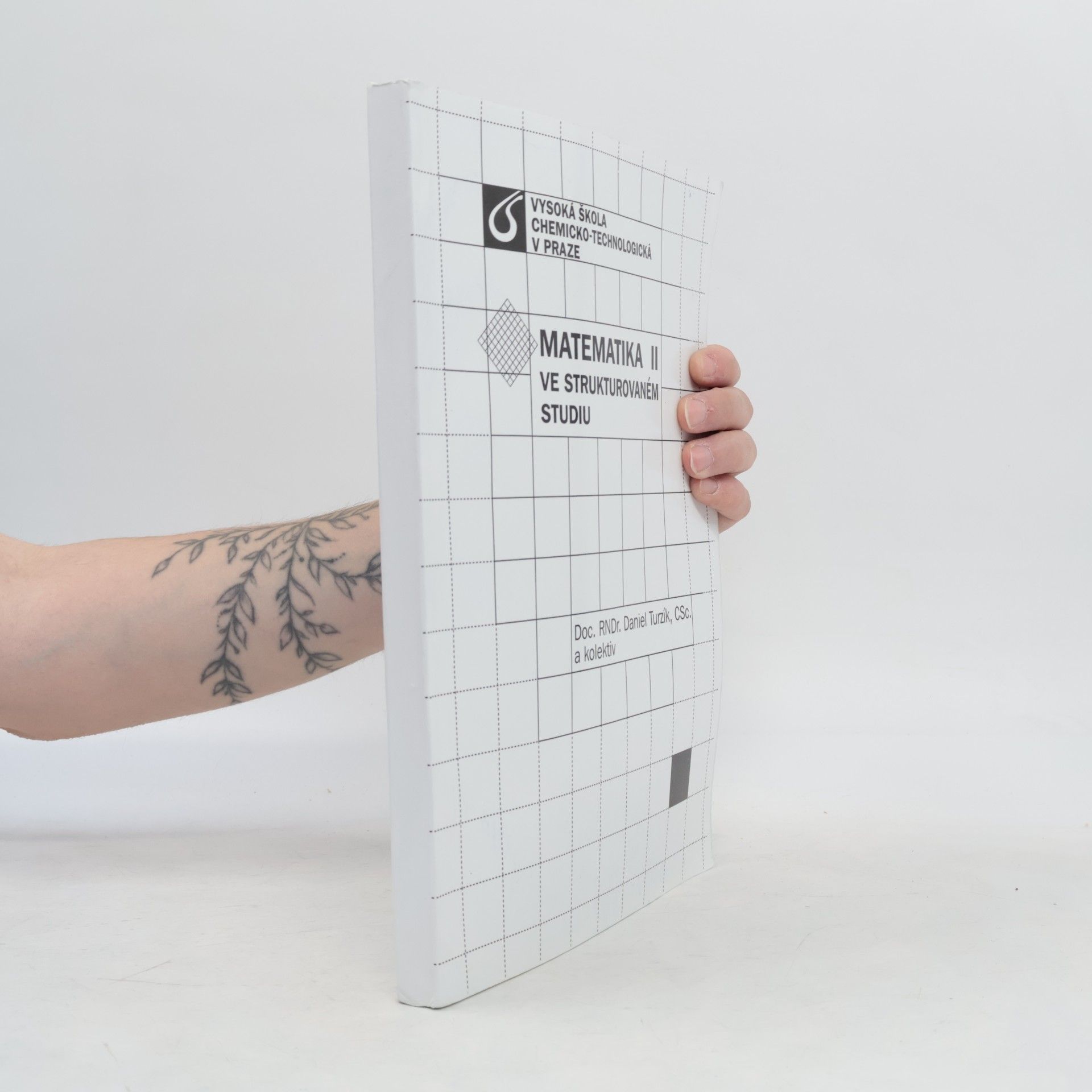 Daniel Turzík Matematika II ve strukturovaném studiu