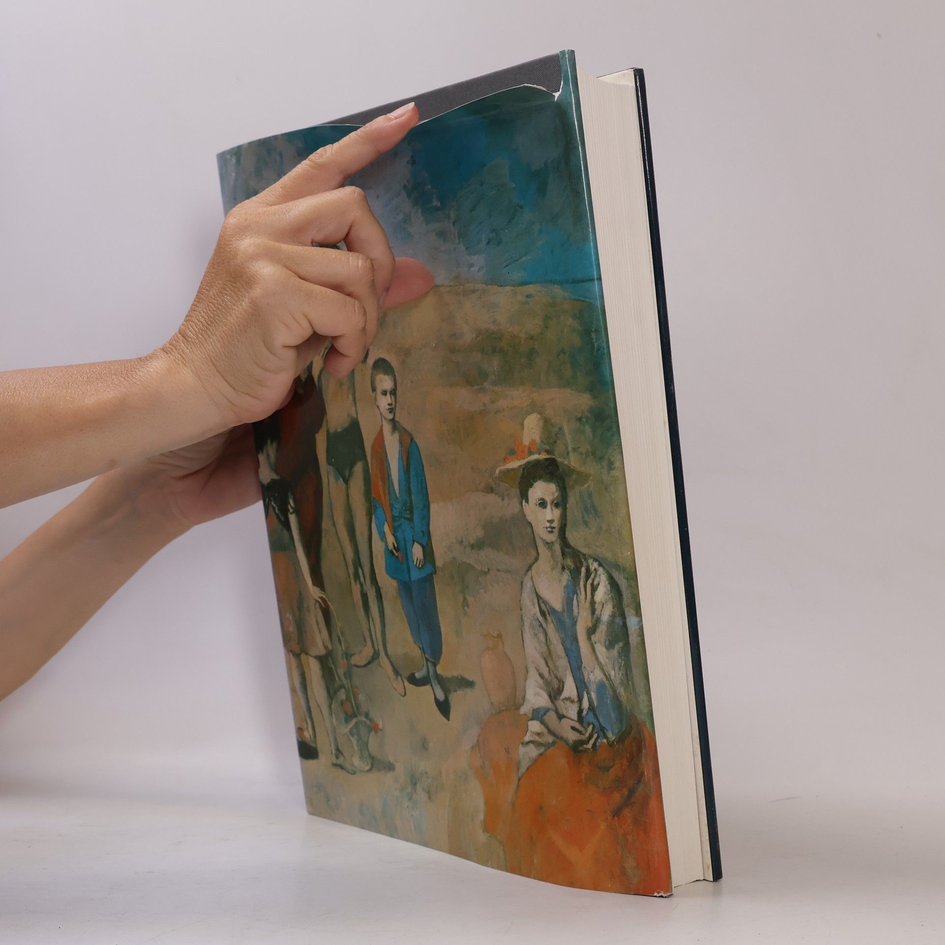 Carsten-Peter Warncke Pablo Picasso I