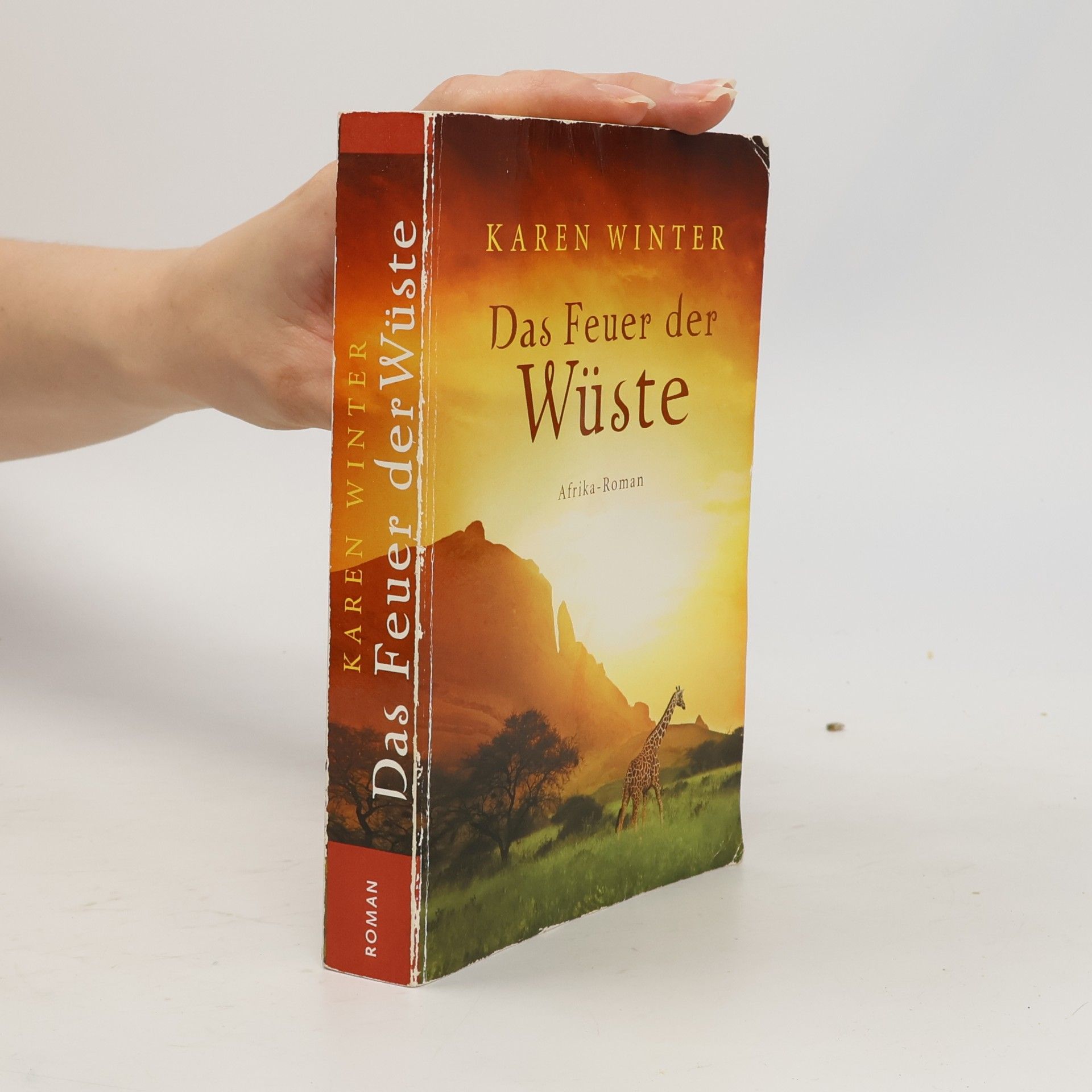 Karen Winter Das Feuer der Wüste