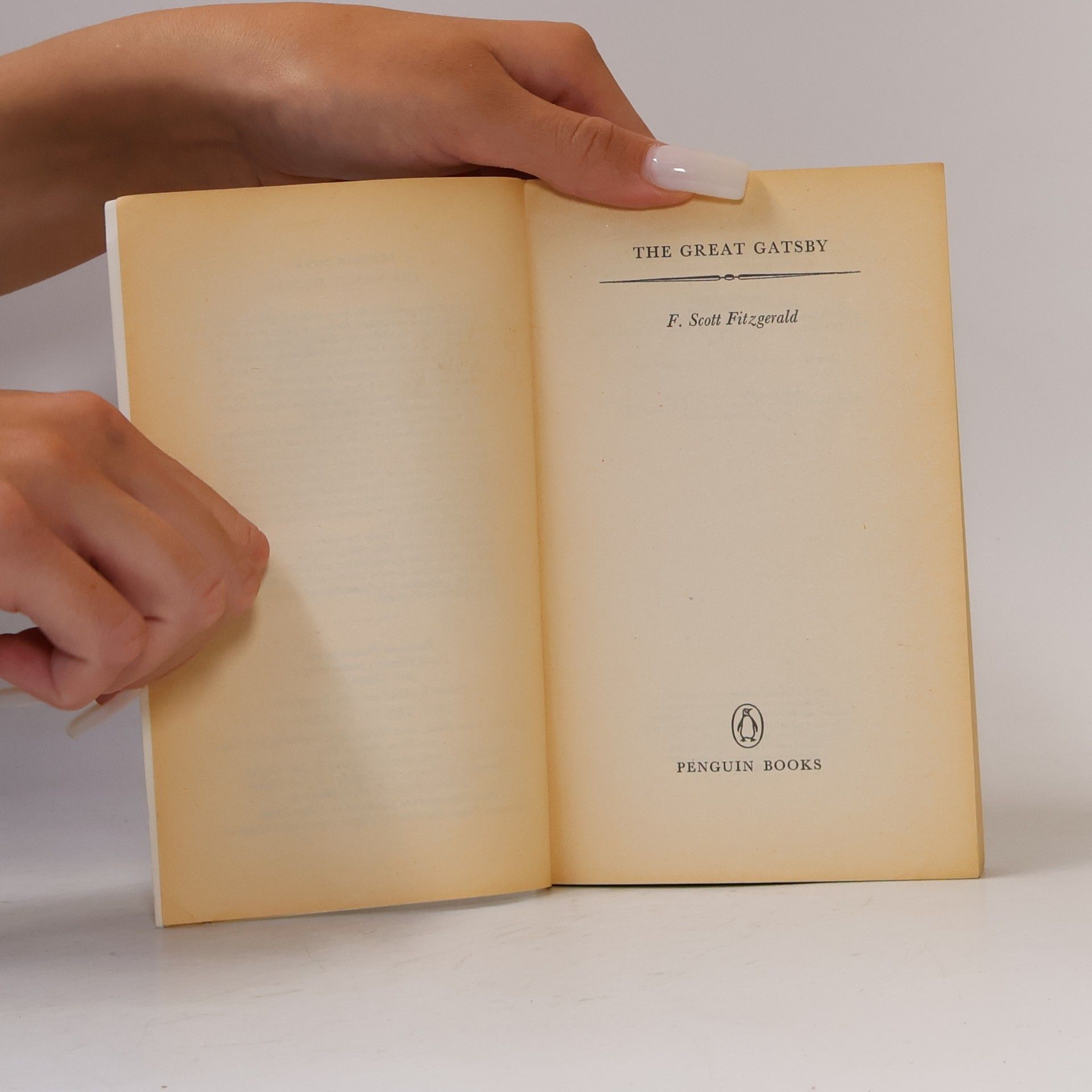 F. Scott Fitzgerald The Great Gatsby