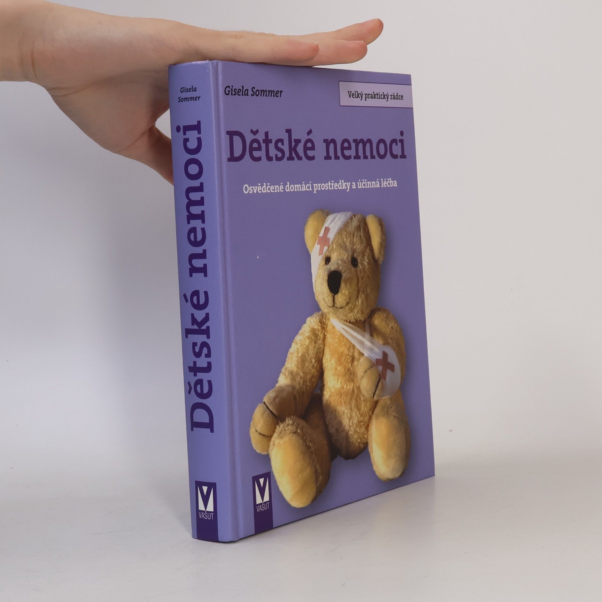 Gisela Sommer Dětské nemoci. Osvědčené domácí prostředky a účinná léčba