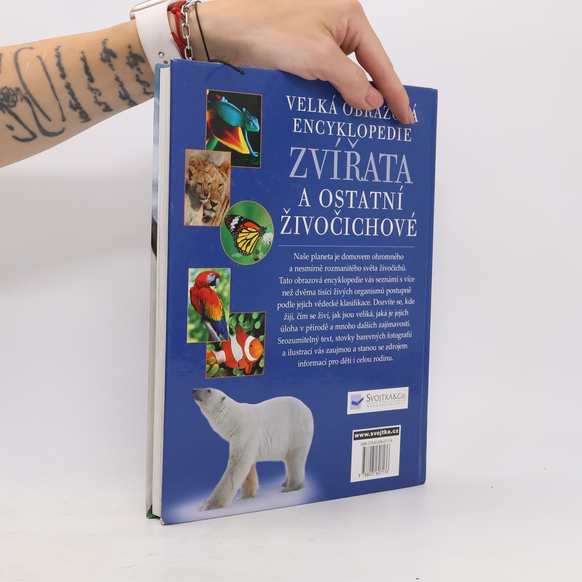David Burnie Zvířata a ostatní živočichové. Velká obrazová encyklopedie