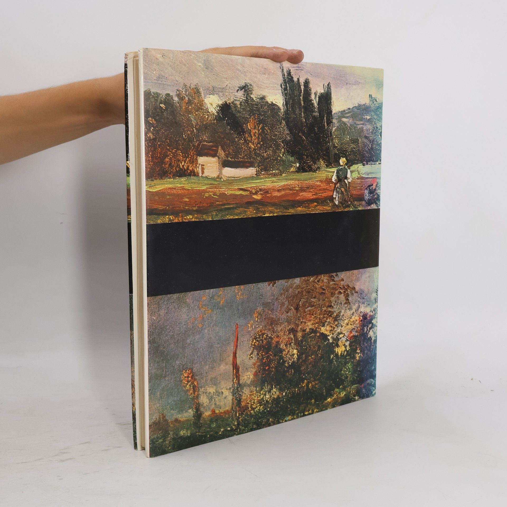 Dario Durbe Corot und die Schule von Barbizon
