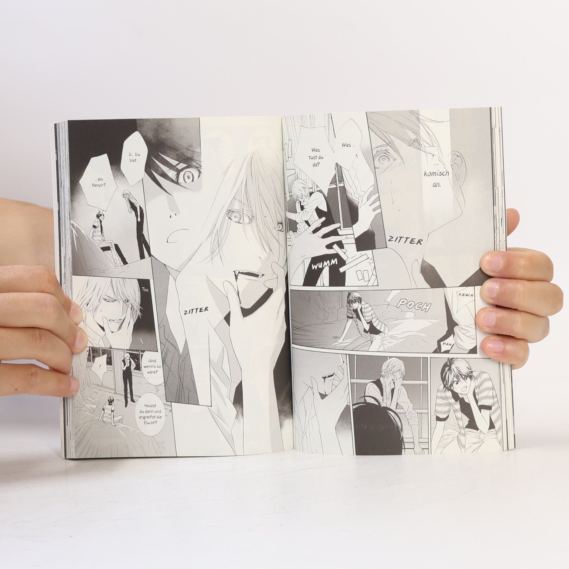 Misao Higuchi The vampire's prejudice
