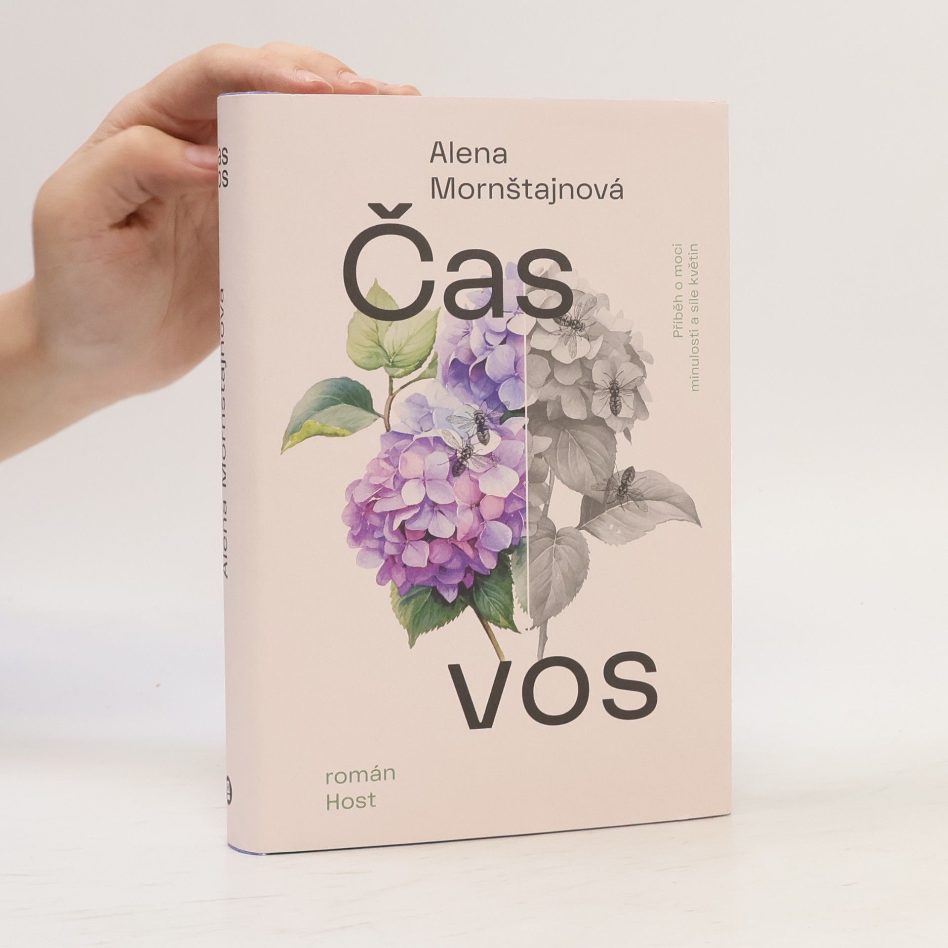 Alena Mornštajnová Čas vos