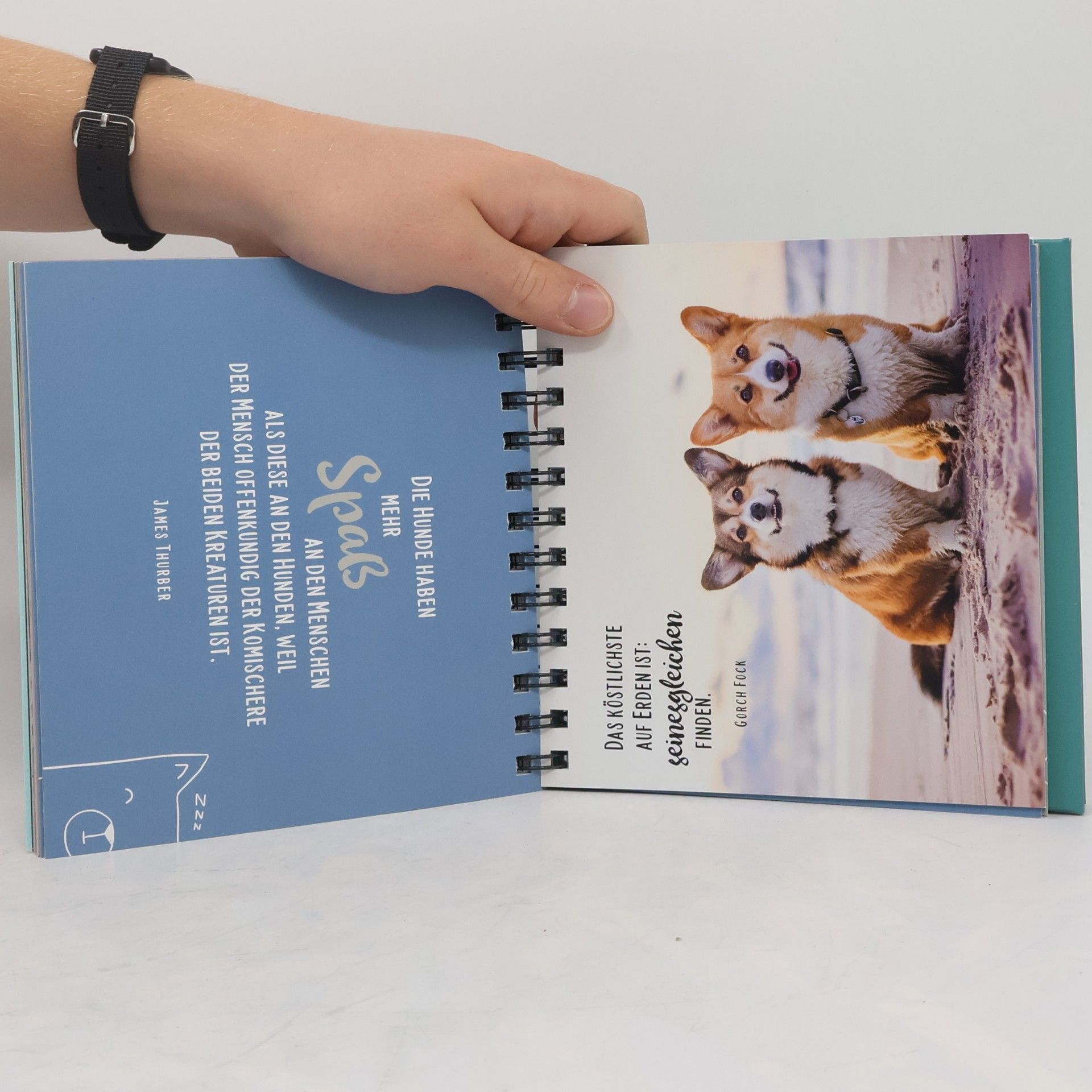 Autorenkollektiv Für Hundefreunde