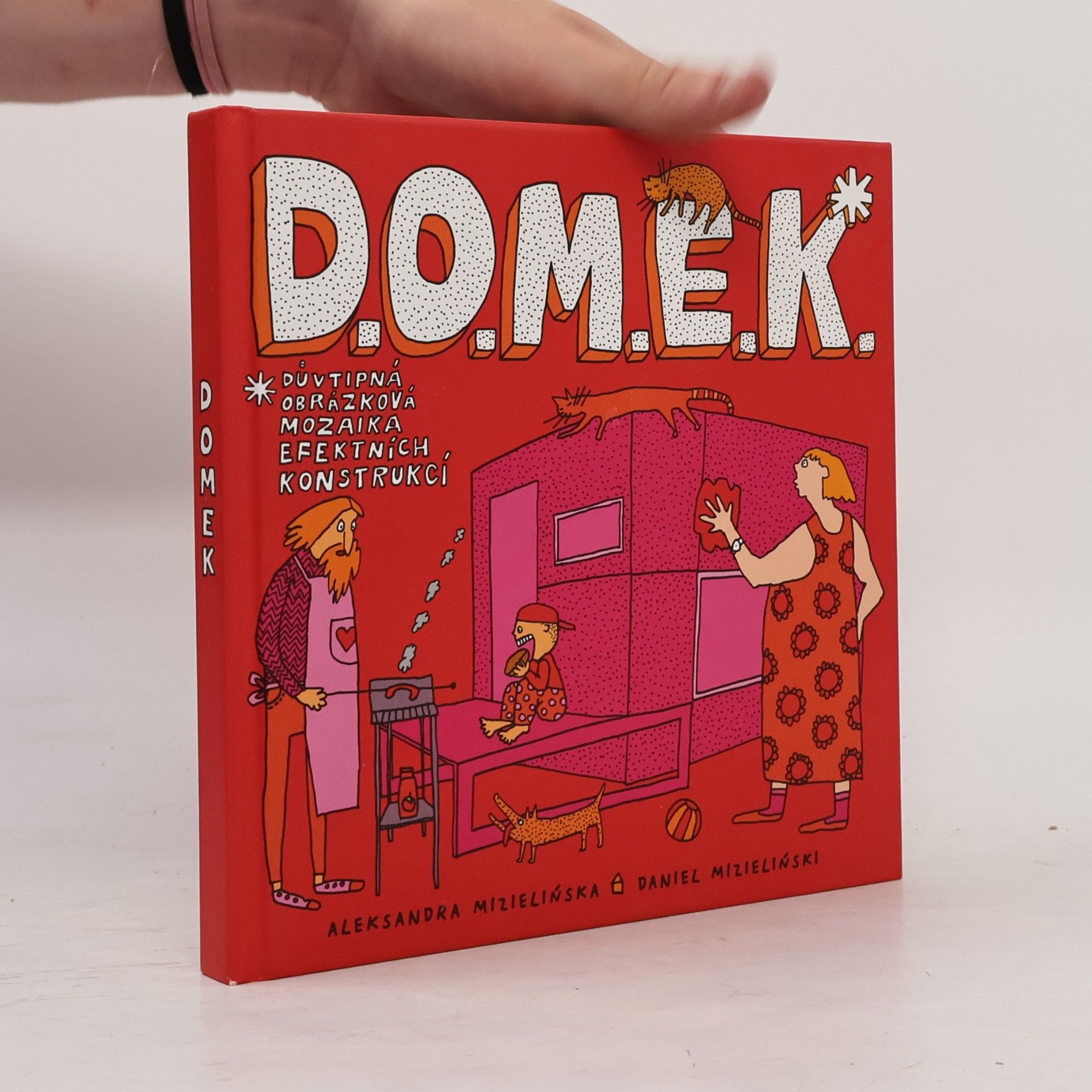 Daniel Mizieliński D.O.M.E.K. DOMEK. Důvtipná obrázková mozaika efektních konstrukcí